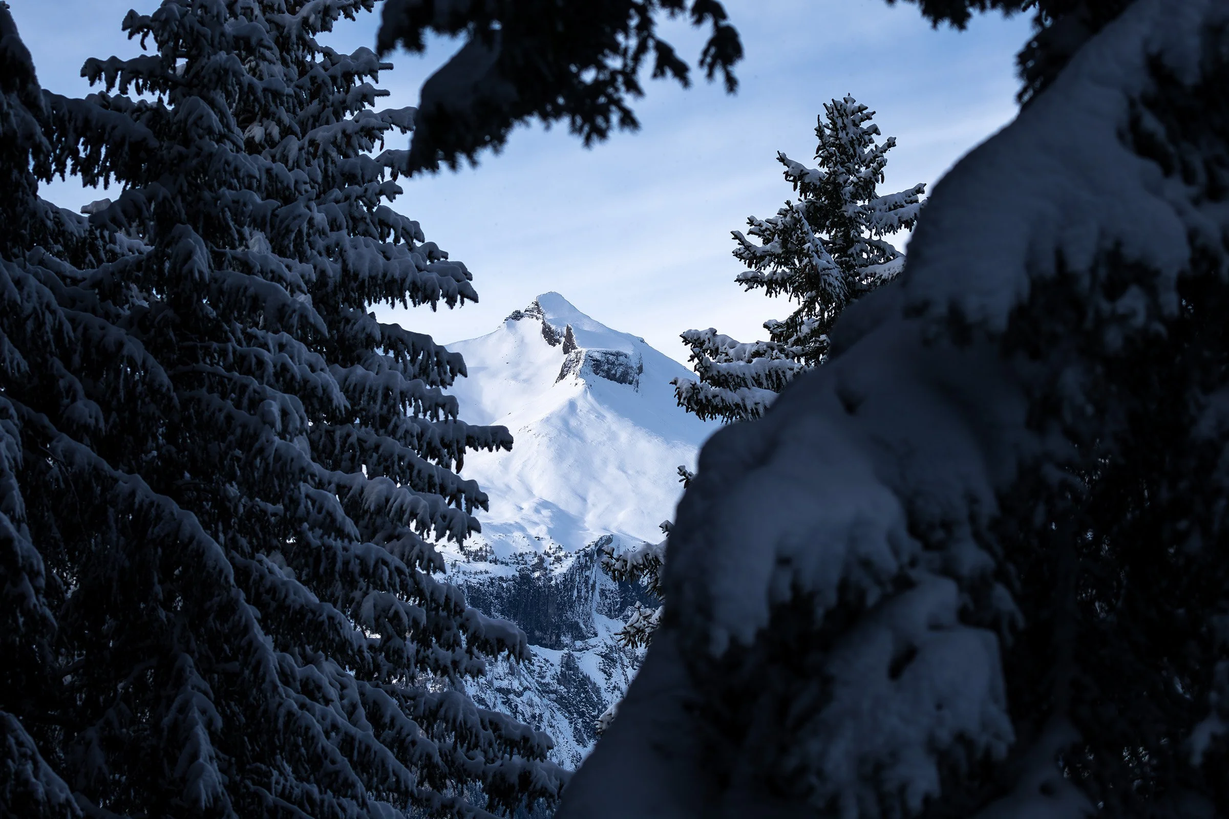 Calanda im Winer