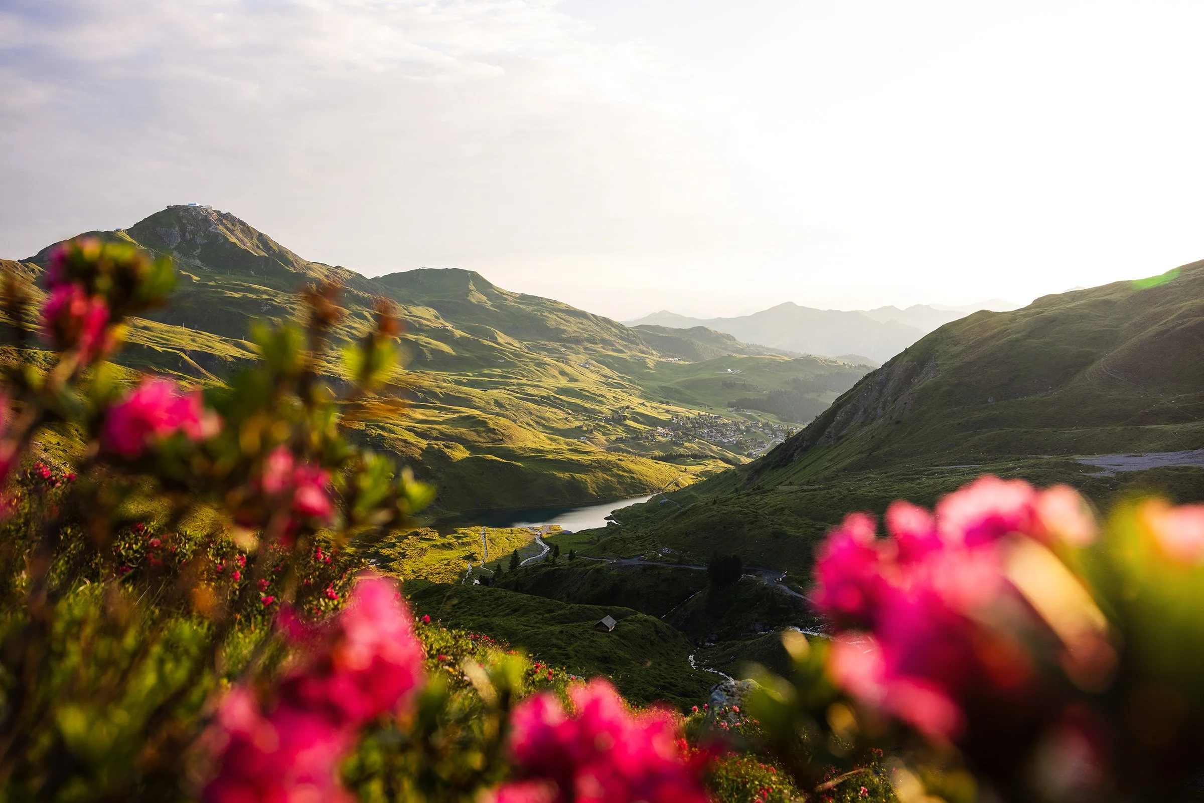 Arosa im Sommer