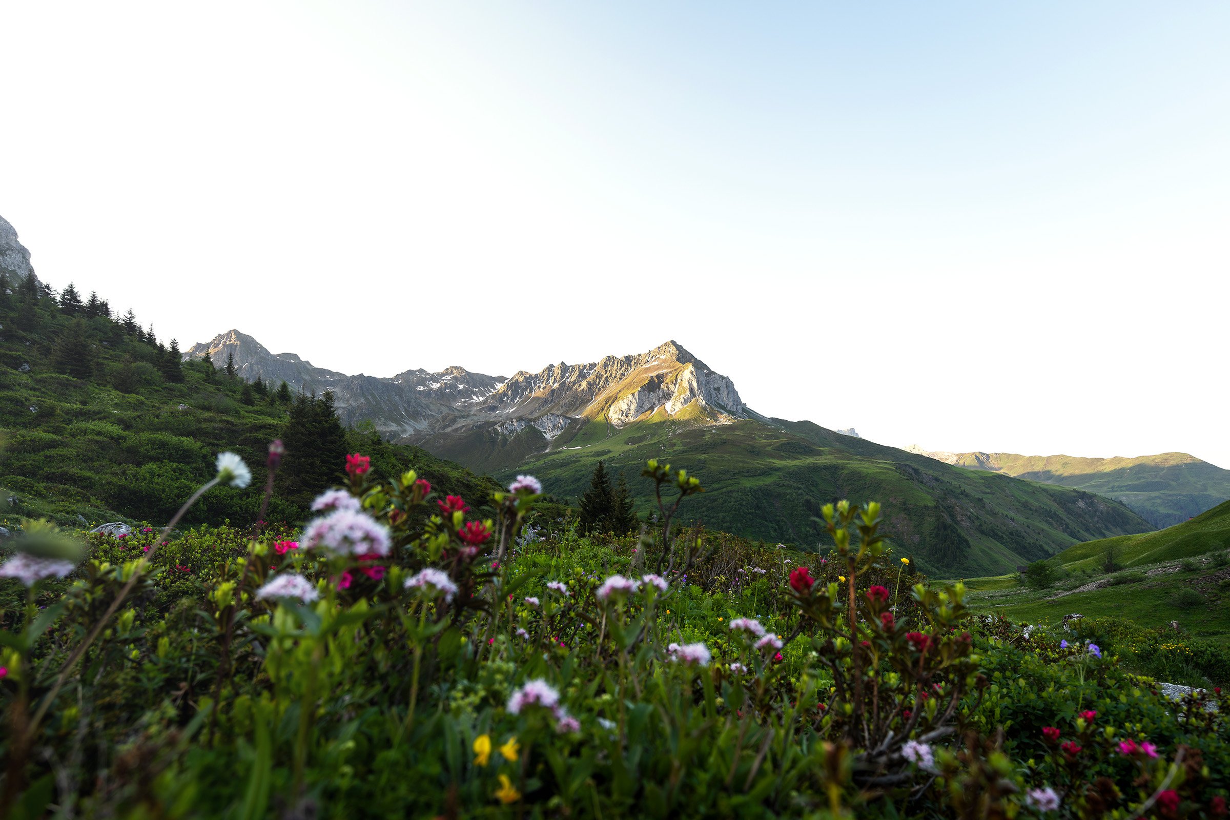 Aussicht vom Partnunsee im Prättigau