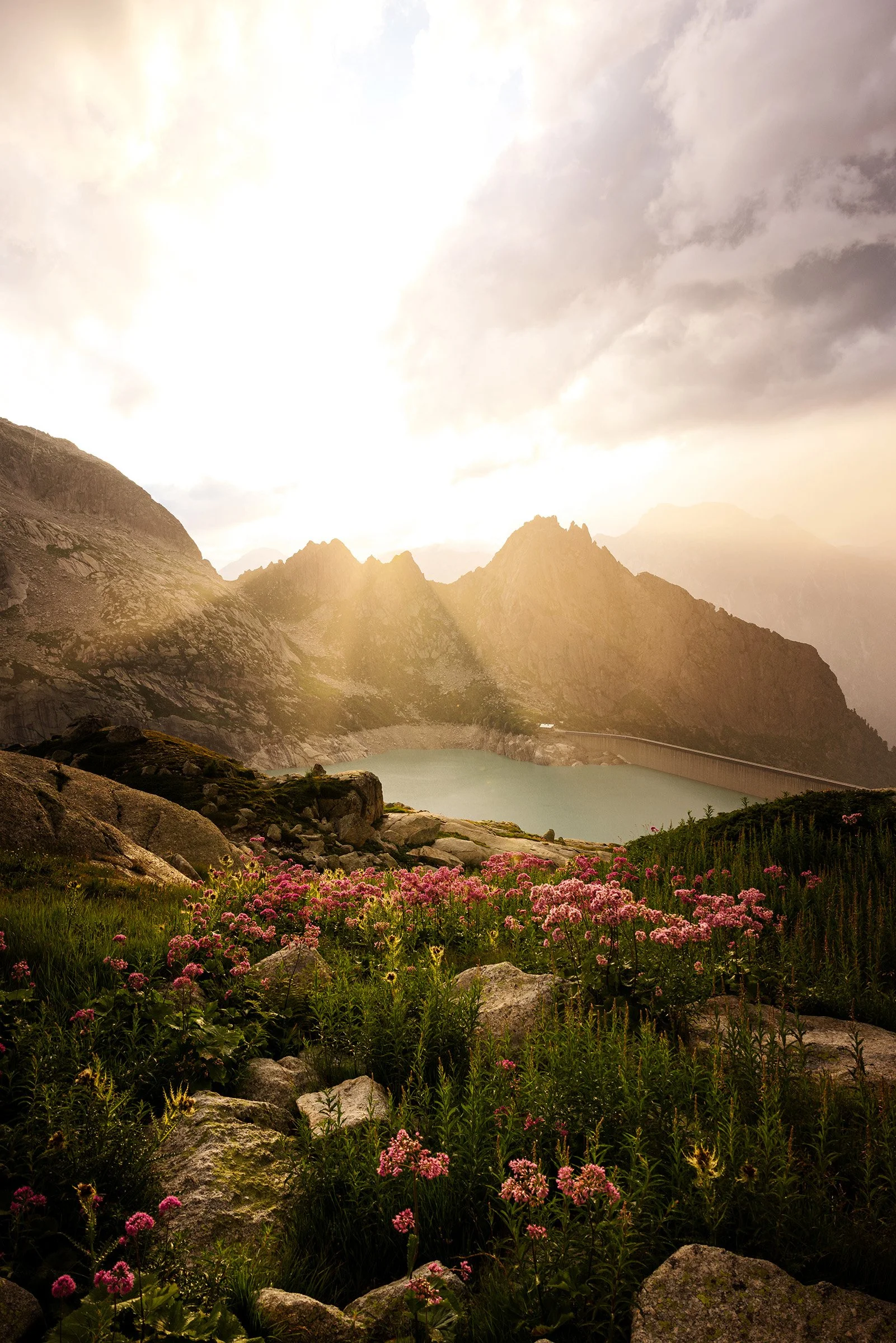 Bergsee im Tal, umgeben von hohen Bergen, Frühling mit blühenden Blumen im Vordergrund, sonniges Himmel mit Wolken