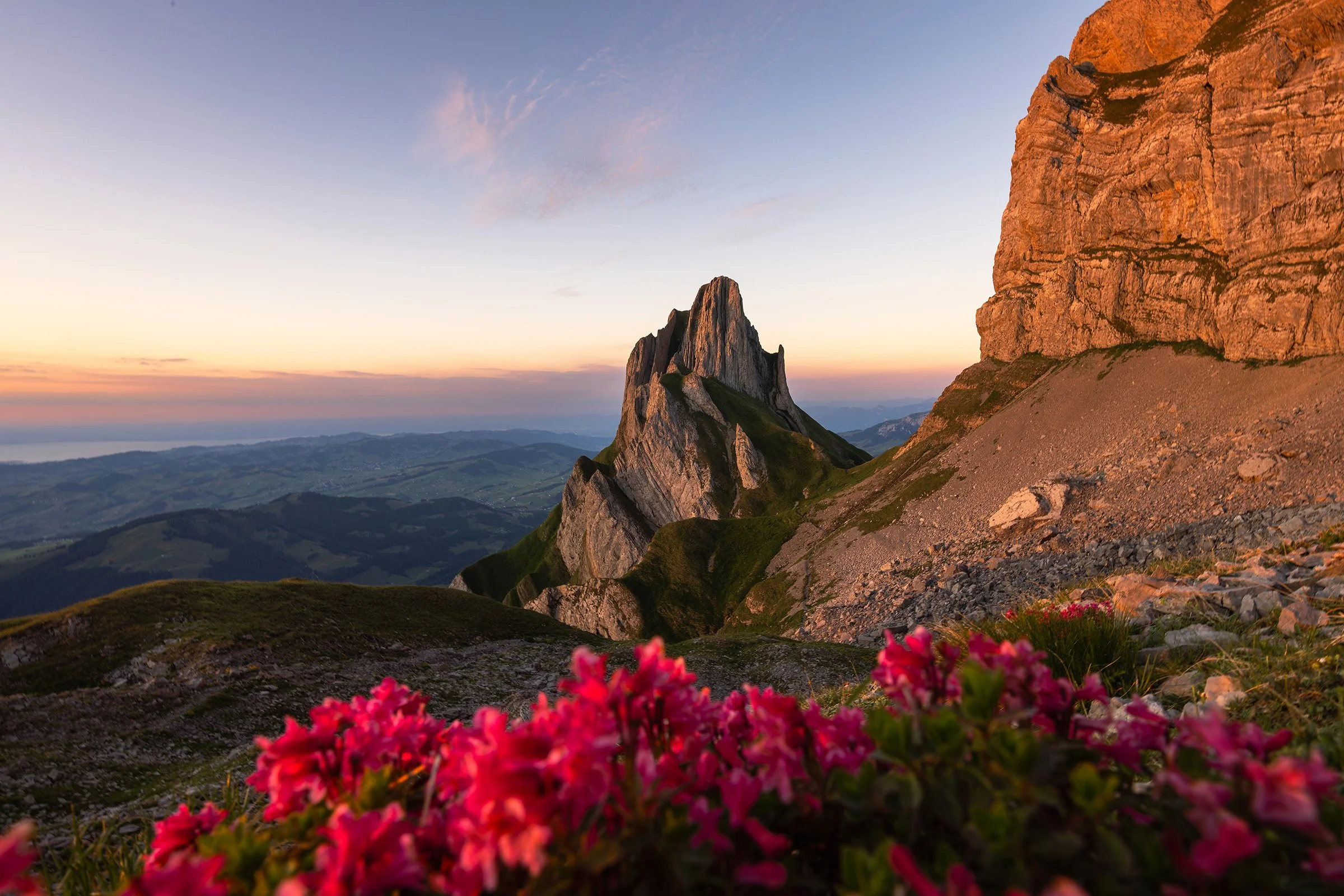 Berglandschaft bei Sonnenaufgang mit rosa Himmel, Felsen und bunten Blumen im Vordergrund.