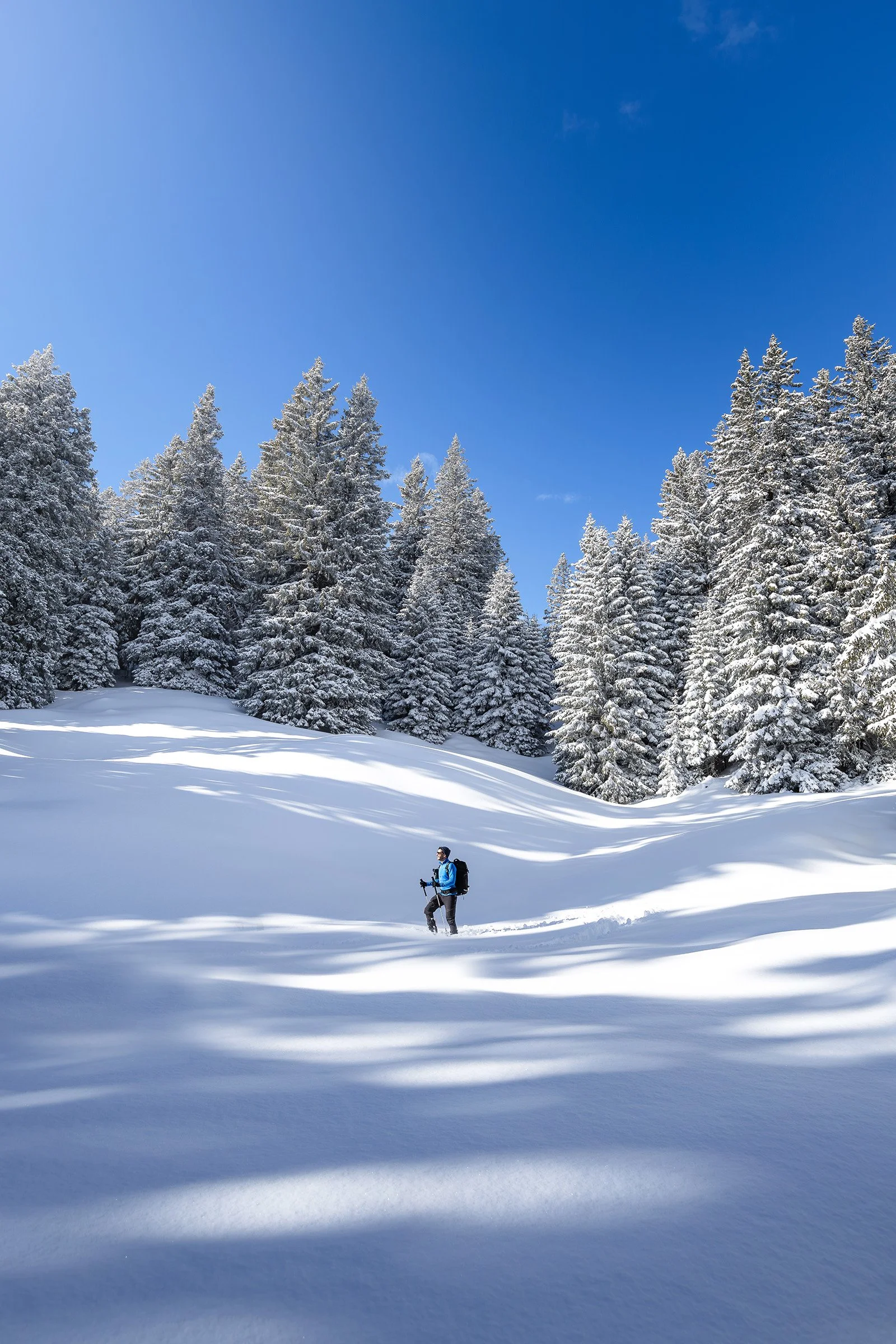 Schneeschuhwandern in Brambrüesch in Chur