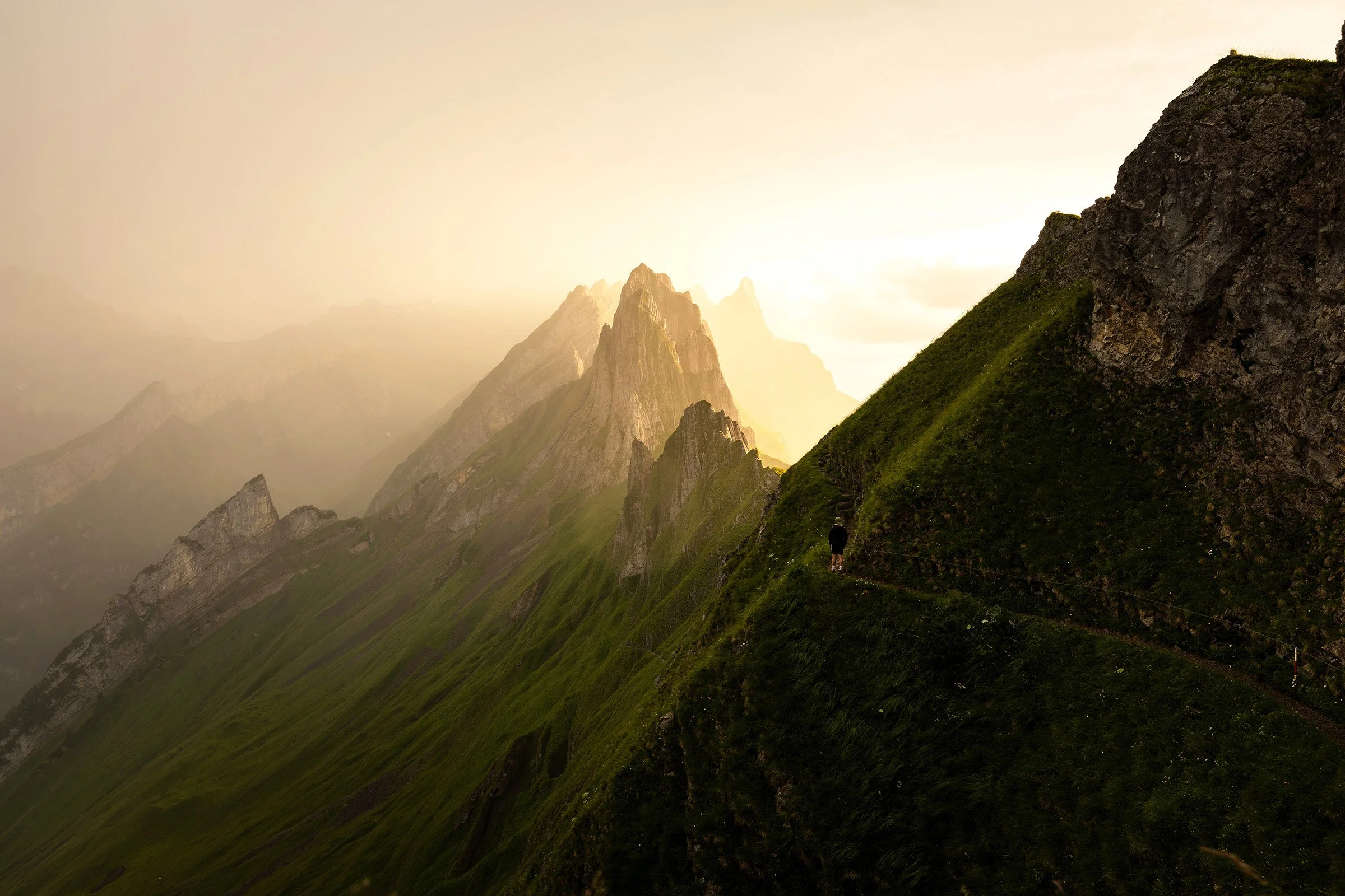 Schäfler im Alpstein bei Sonnenuntergang.