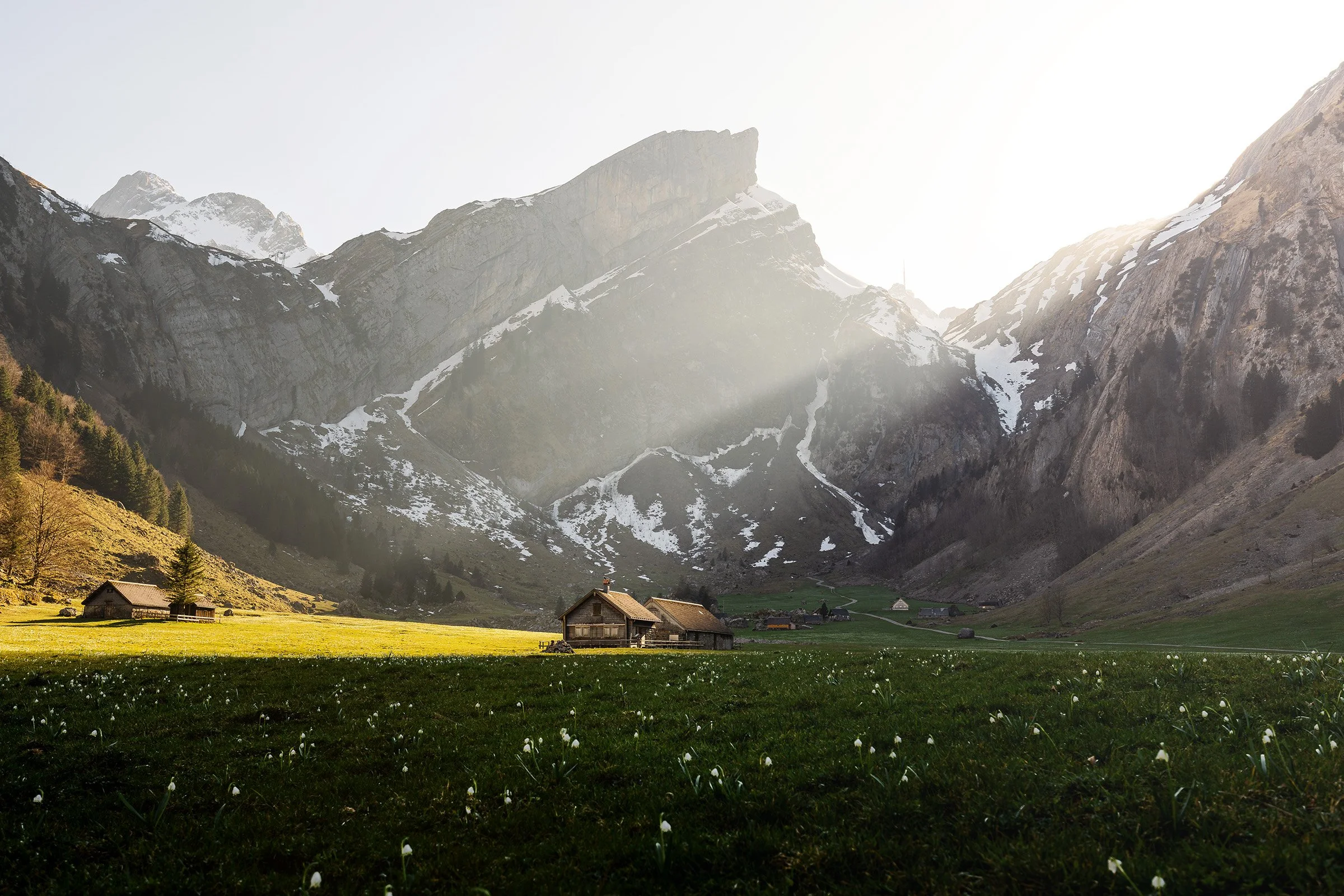 Sonnenuntergang beim Seealpsee im Alpstein