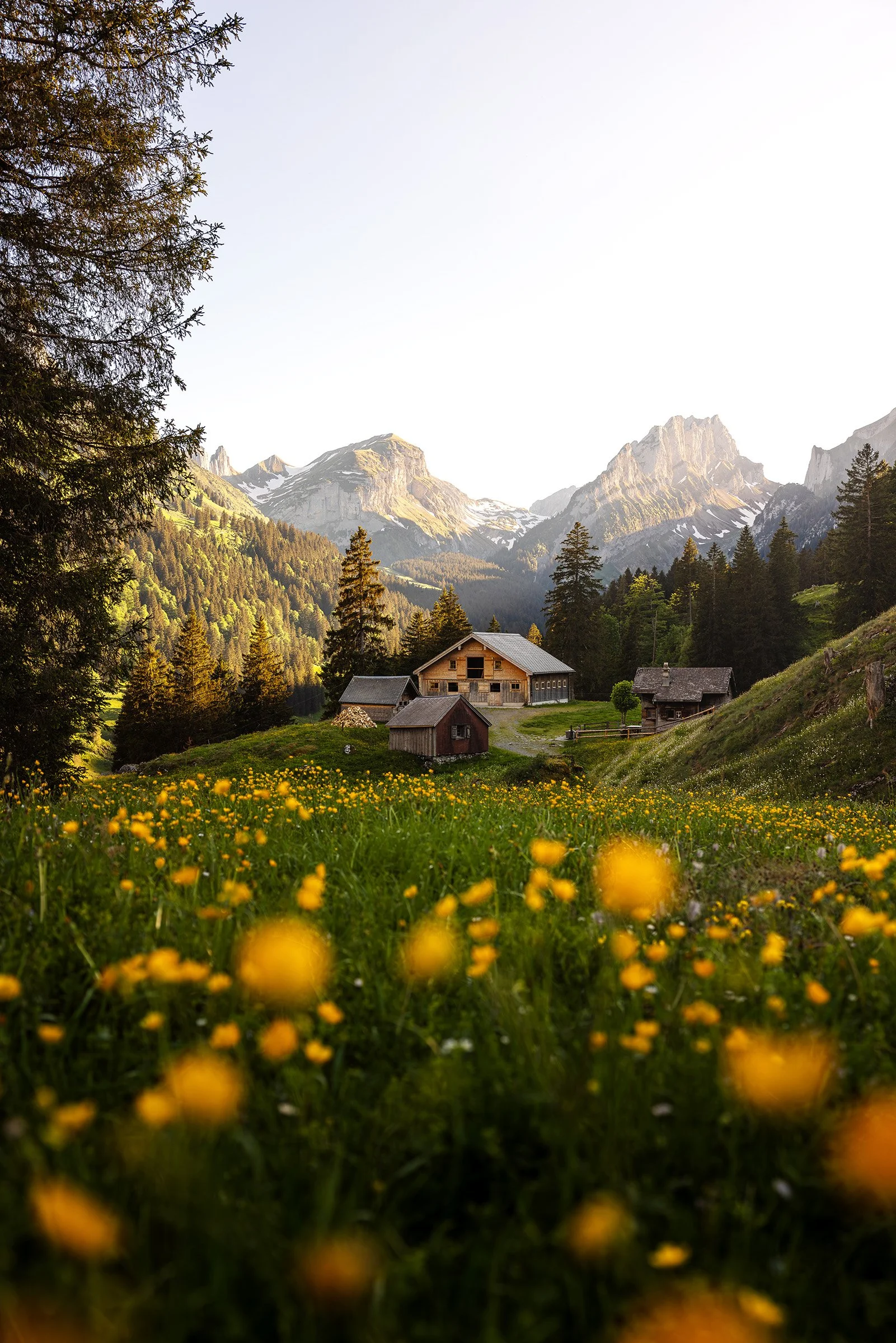 Frühling im Alpstein