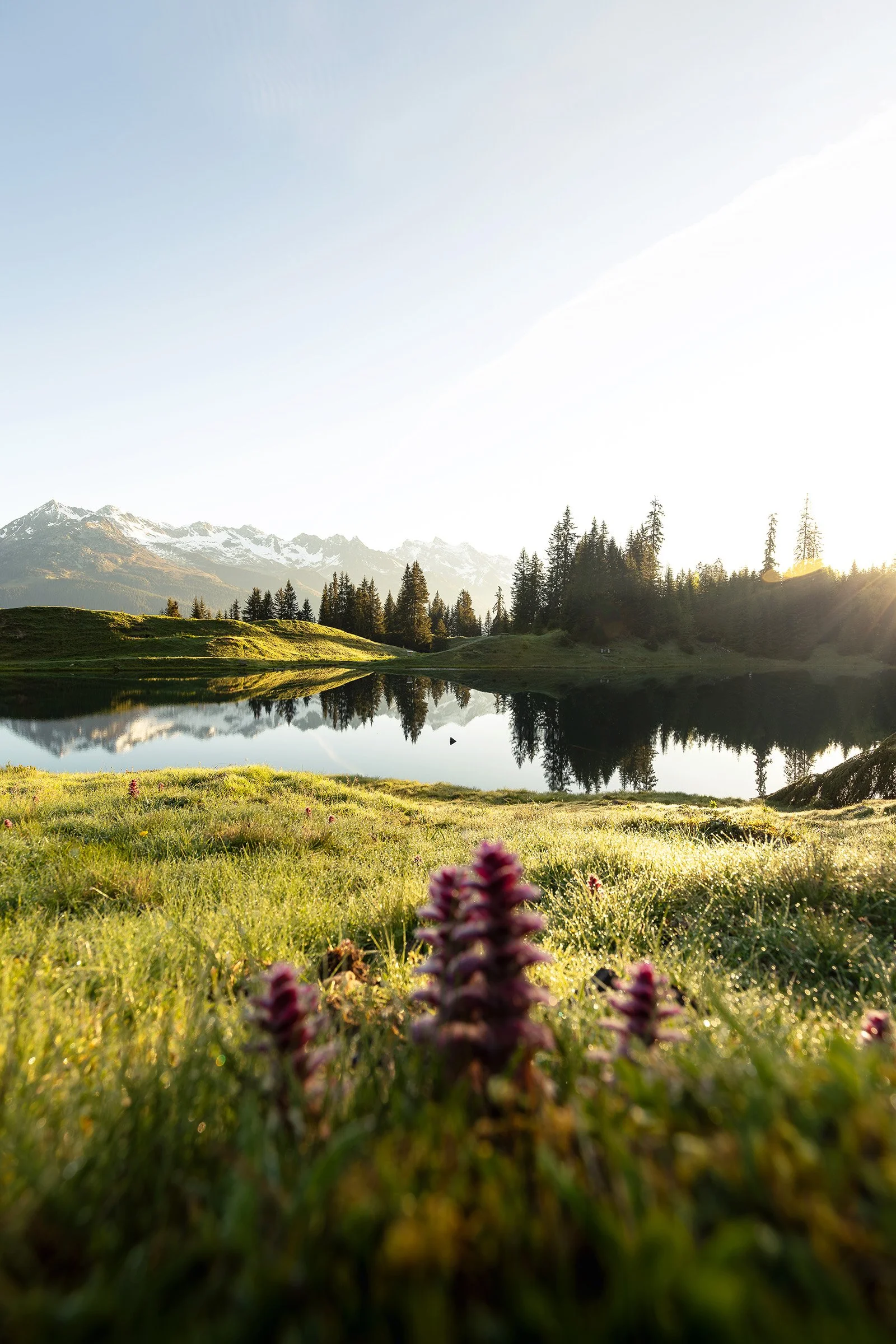 Lag da Laus in der Surselva bei Sonnenaufgang im Frühling