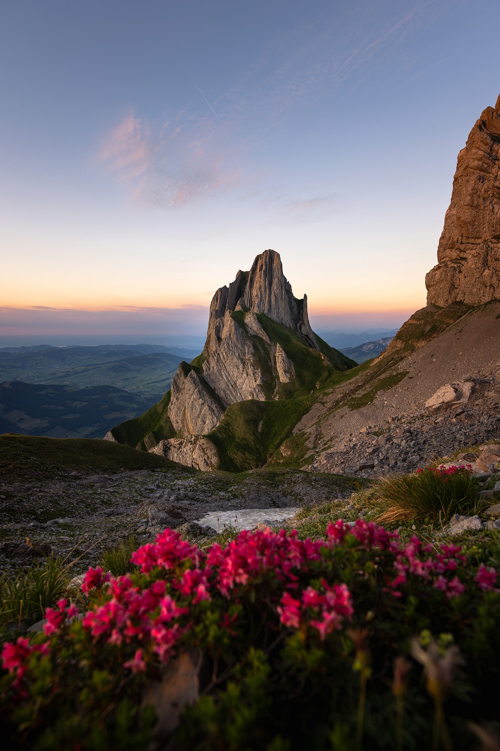 Berglandschaft bei Sonnenuntergang mit pinken Blumen im Vordergrund, großen Felsformationen und einem Himmel mit Wolken und Flugzeugspur.