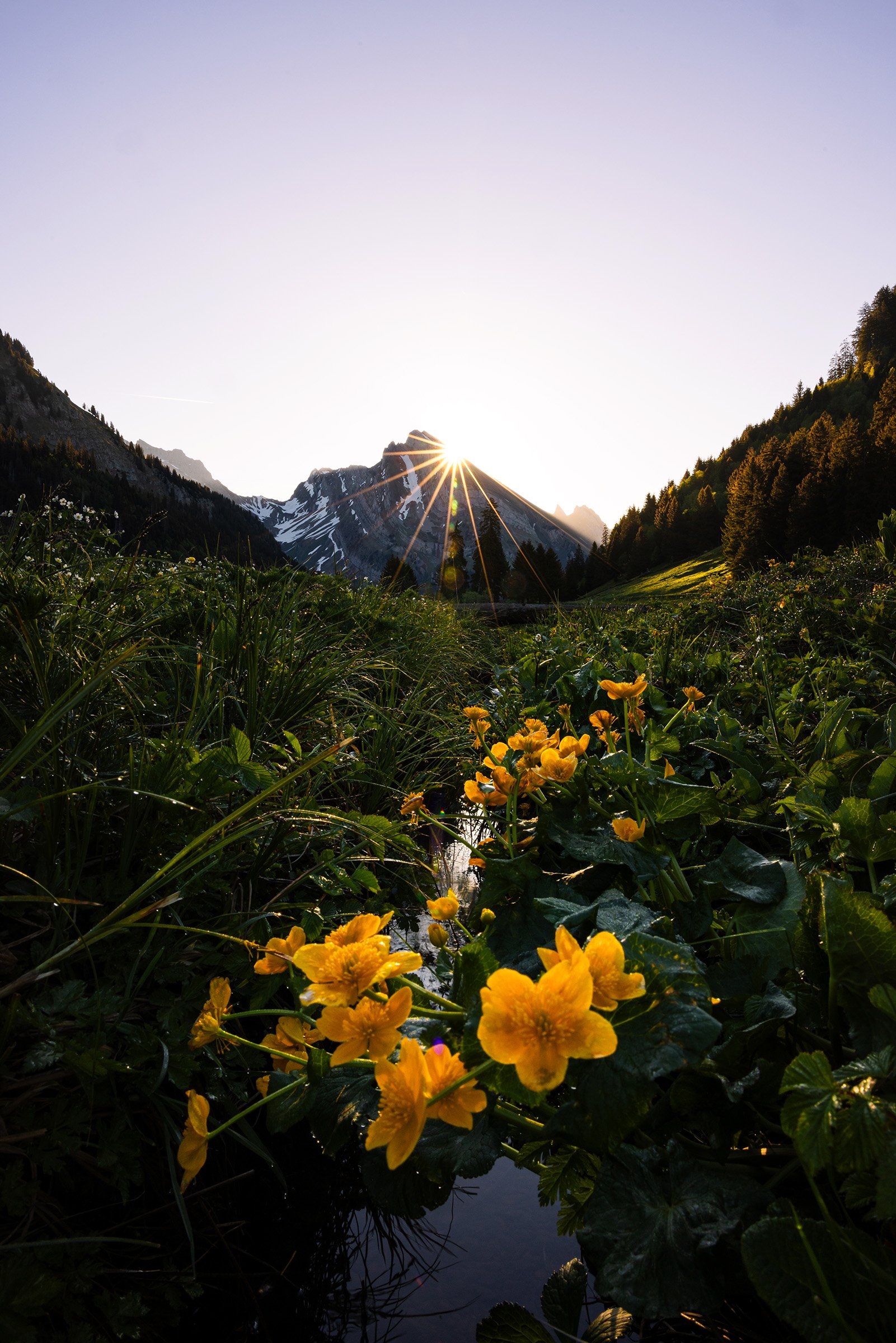 Sonnenaufgang am Gräppelensee im Toggenburg