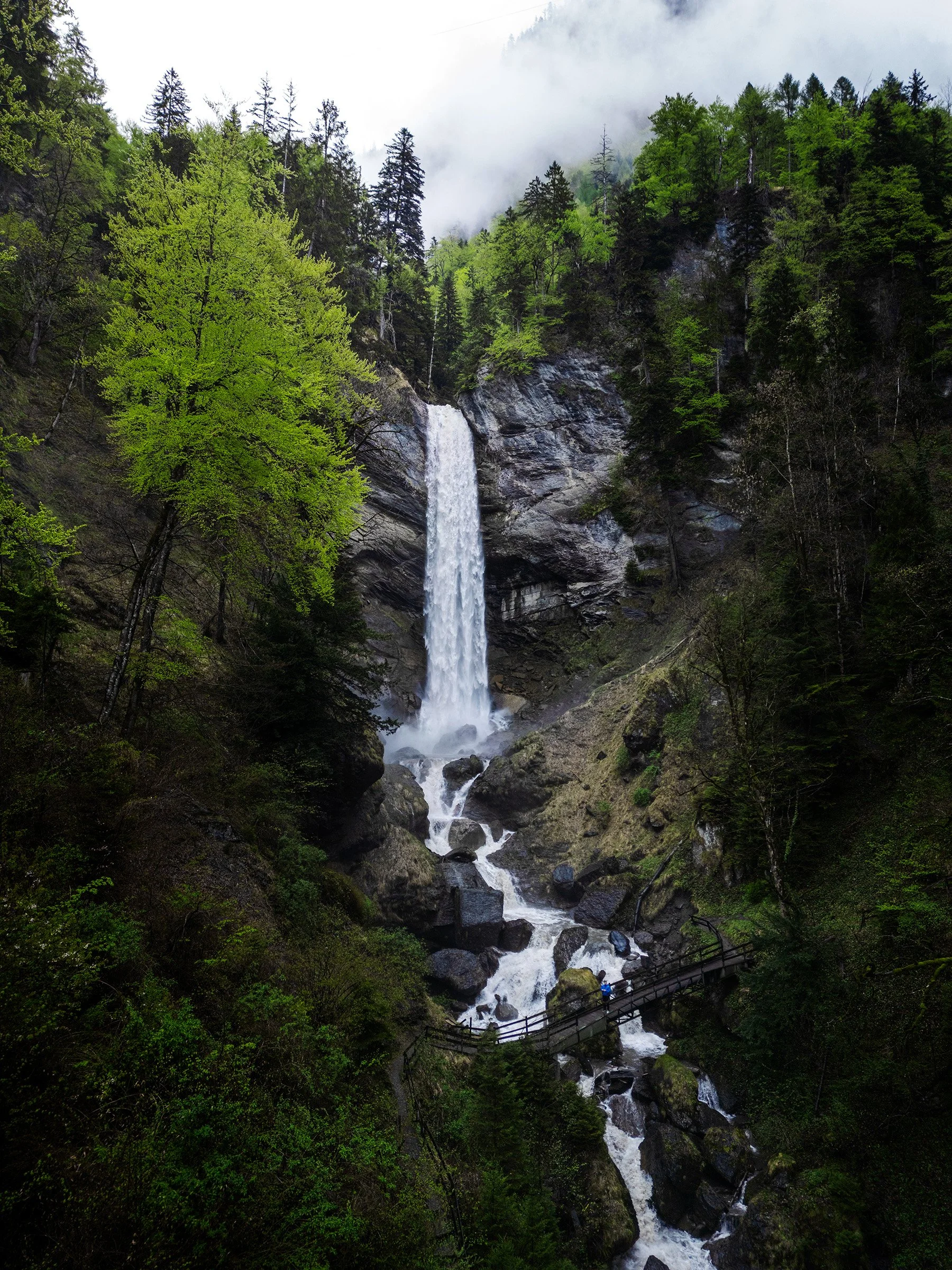 Frühling am Berschnerfall
