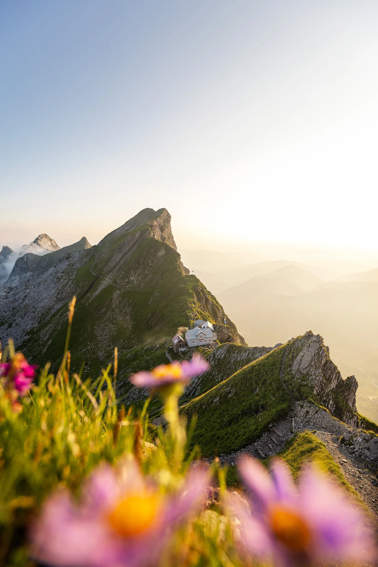 Berglandschaft mit einem Haus am Hang, umgeben von grünen Wiesen und bunten Blumen im Vordergrund, im Sonnenaufgang oder Sonnenuntergang.
