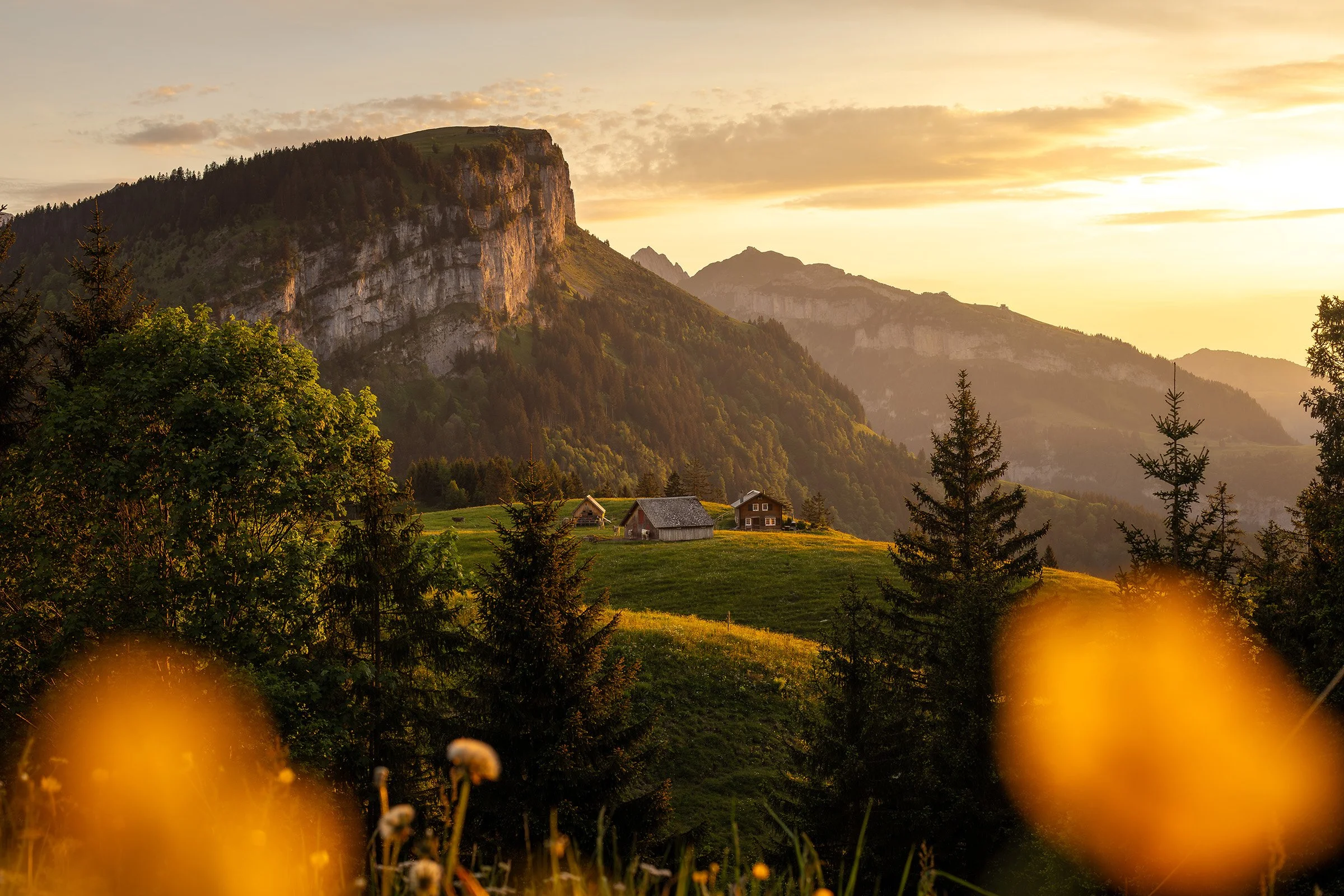 Alp Soll im Appenzell bei Sonnenuntergang im Frühling,