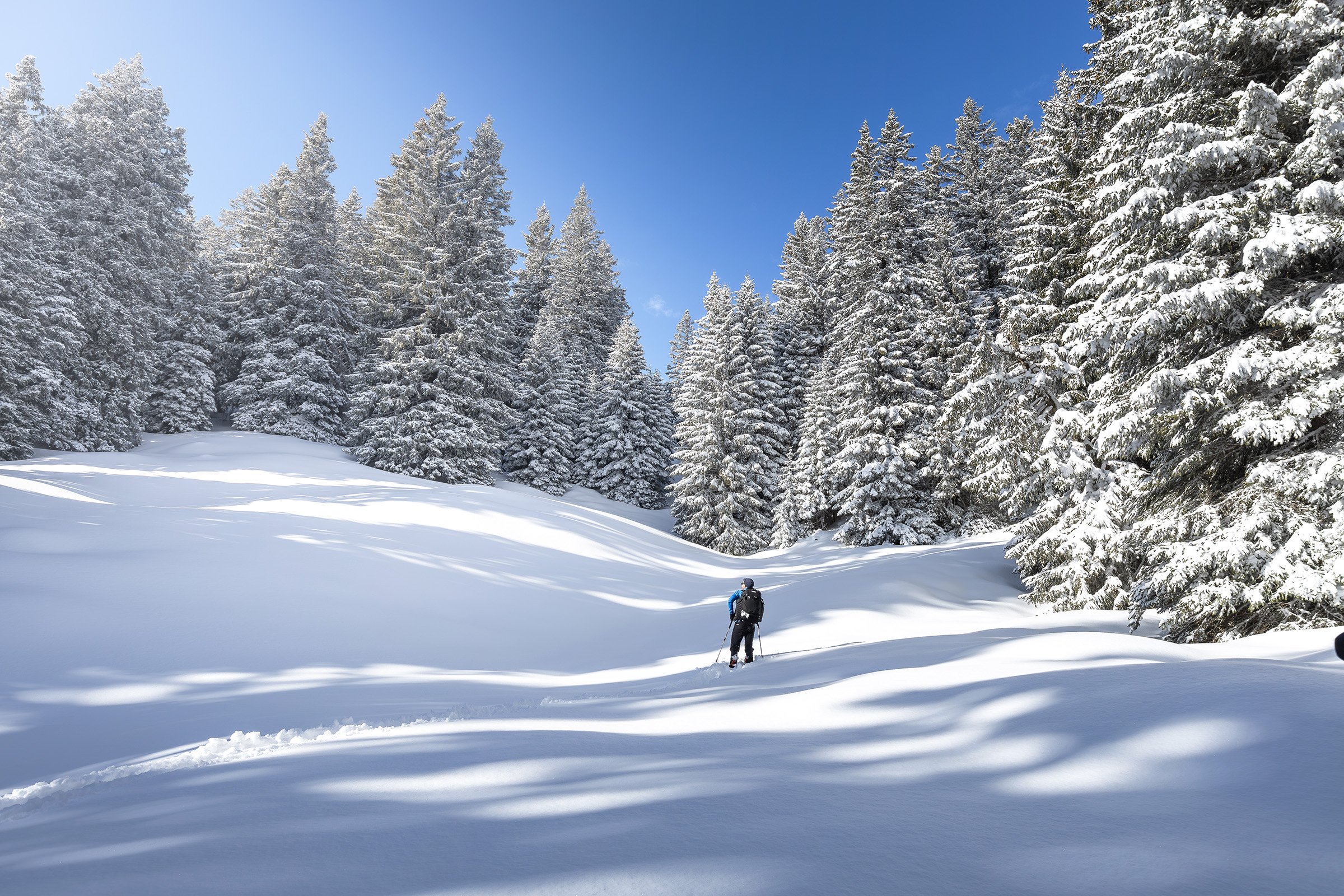 Schneeschuhwandern in Chur in Brambrüesch