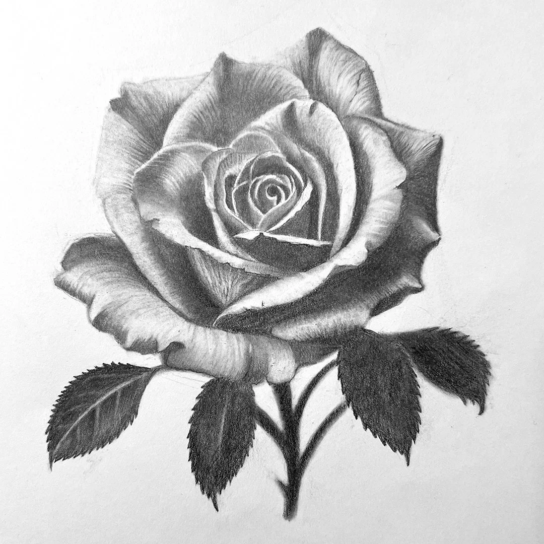 Rose 1.1.jpg