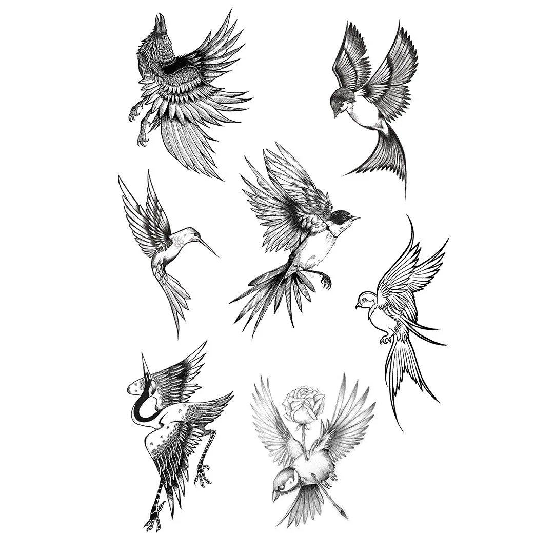 Birds 1.1.jpg