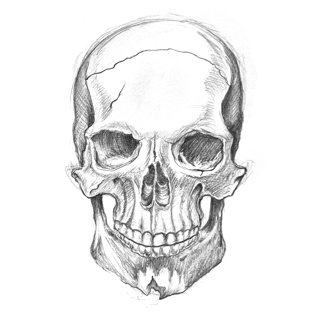Skull 1.1.jpg