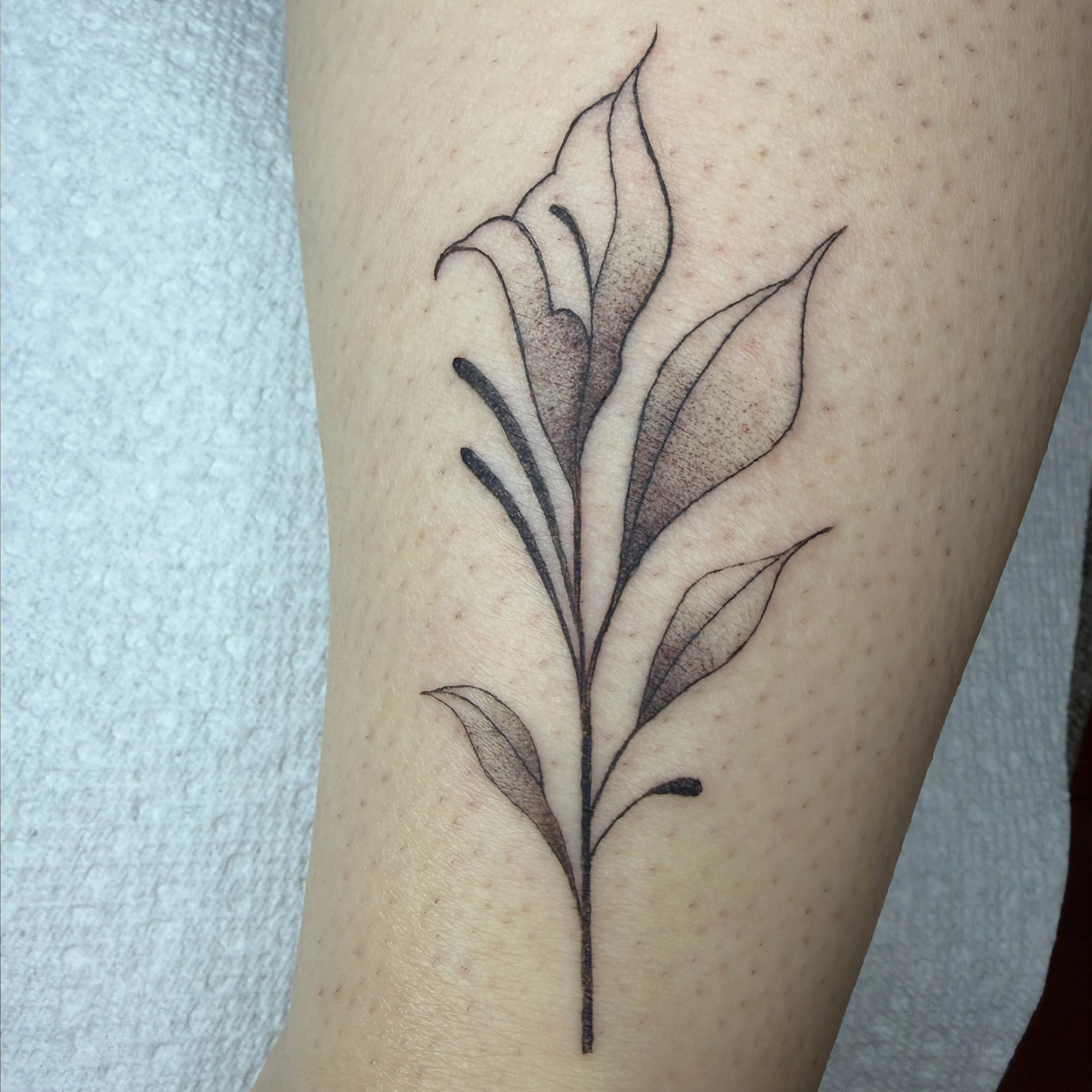 Carly Flower - Square.jpg