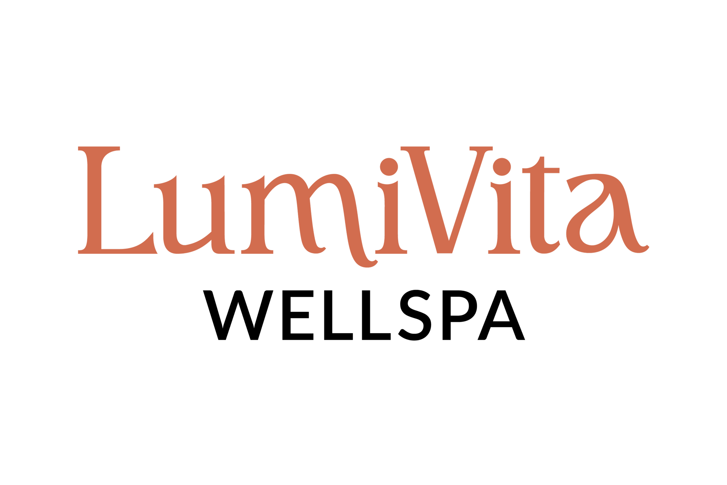LV Logo.png