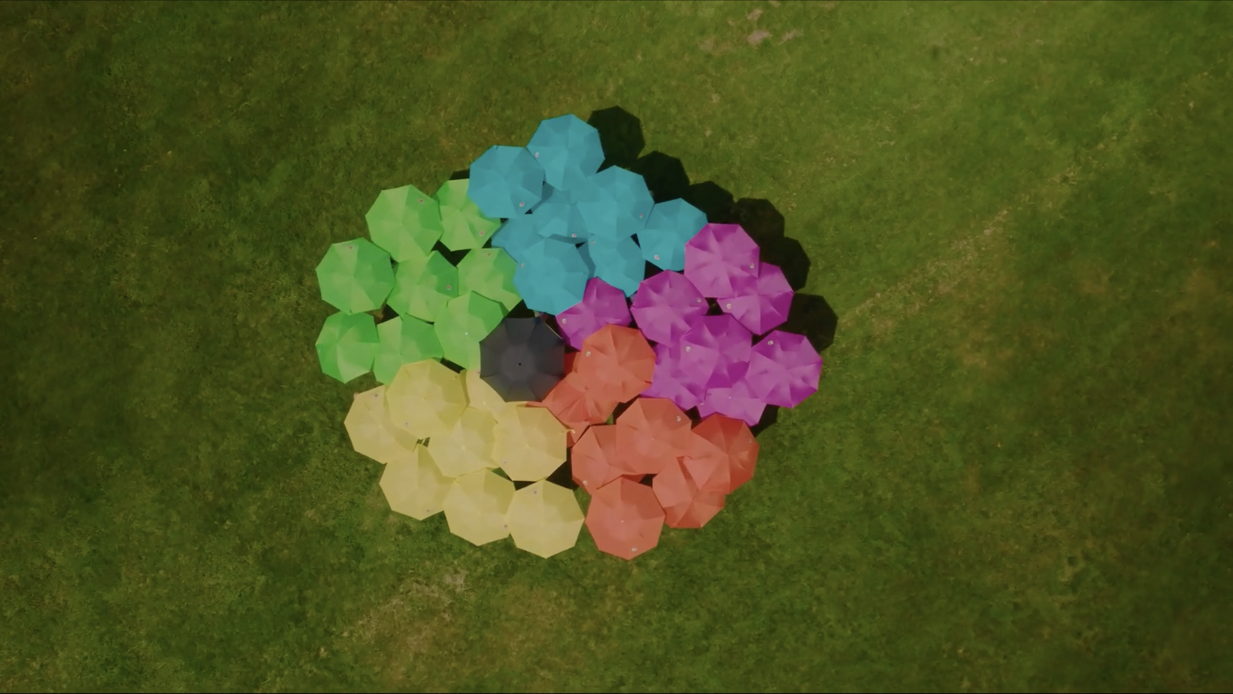 Wildflower Gather Sizzle