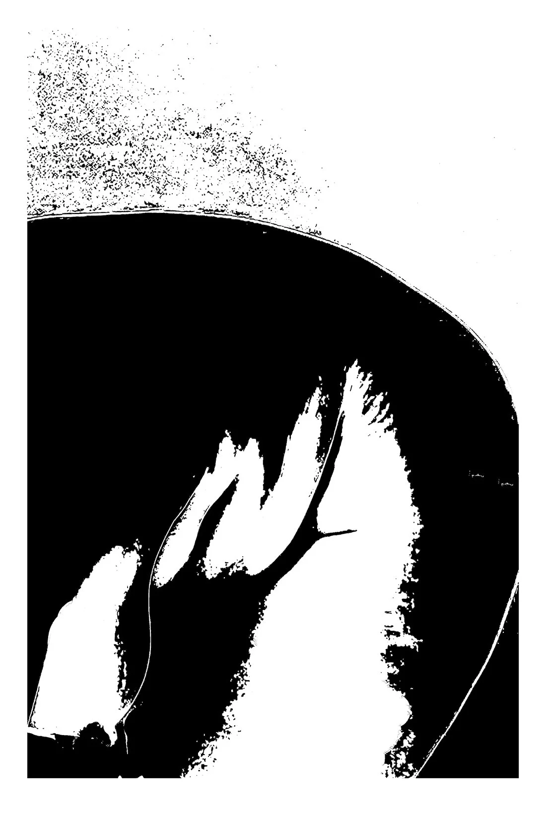 Black & White Study III