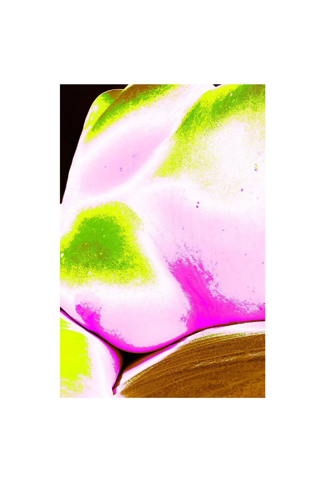 Lichen Hills_thumbnail.jpg