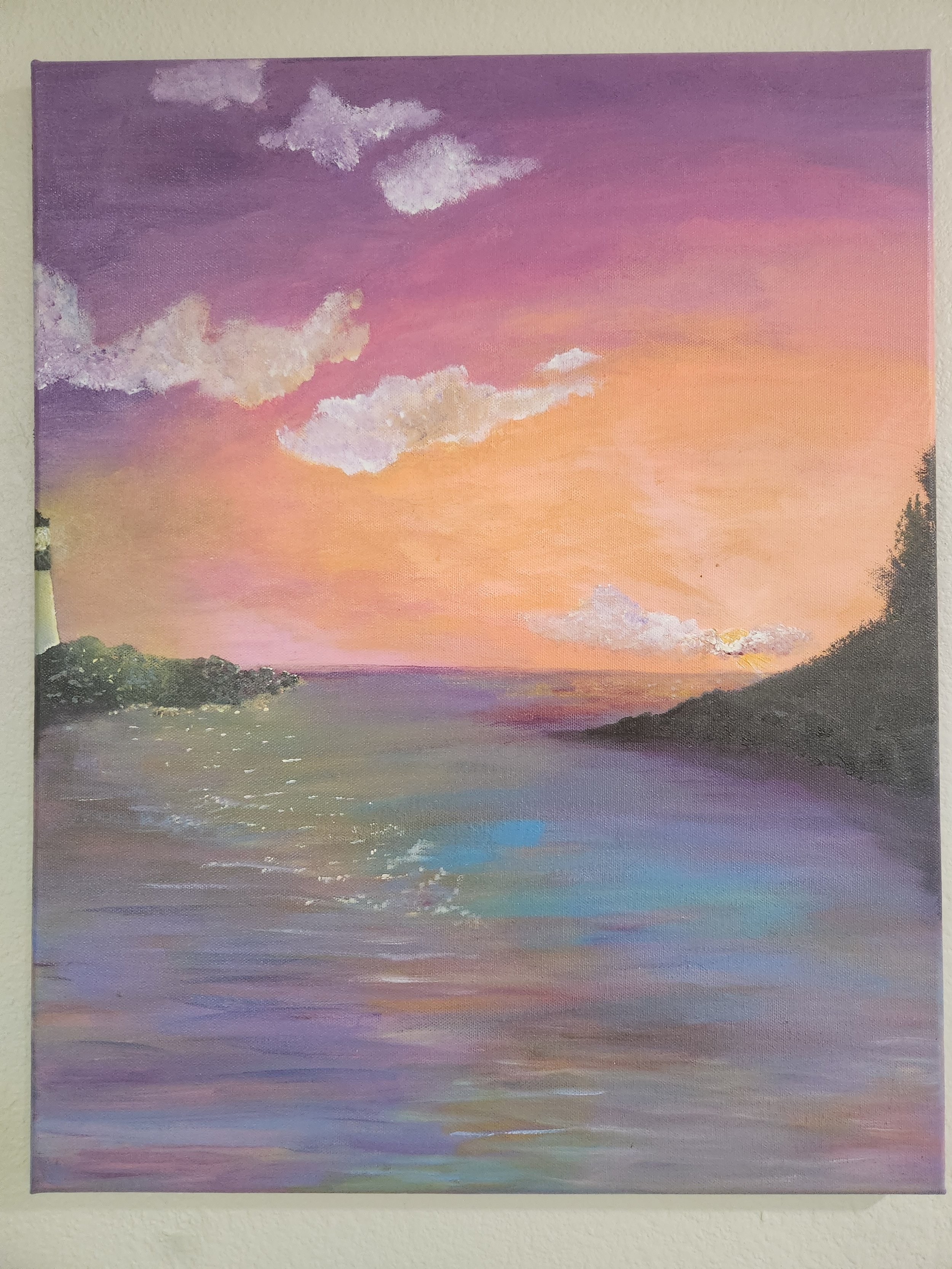 Medium Sized Costumizable Canvas