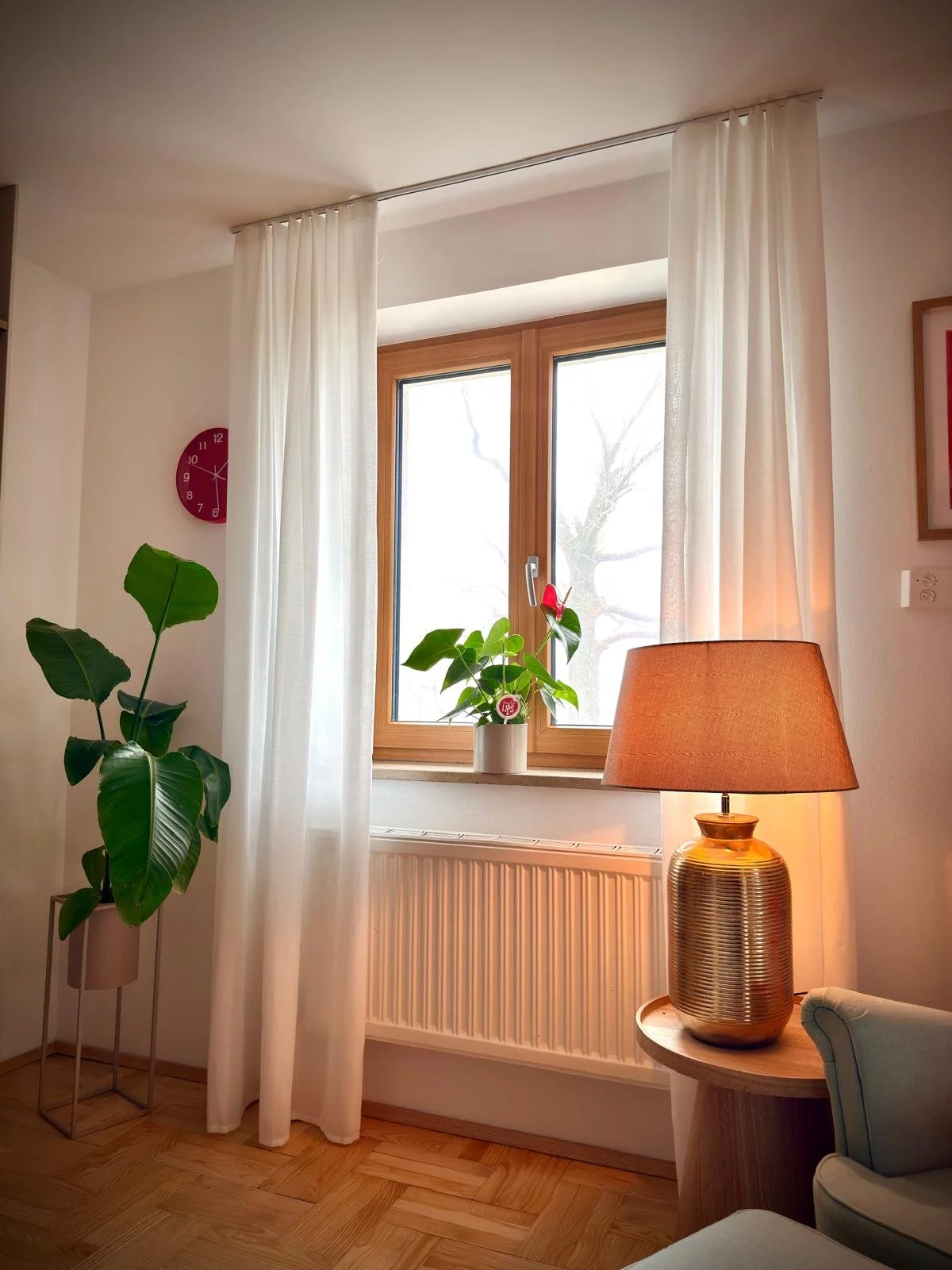 Wohnzimmer mit Fenster, weißen Vorhängen, Topfpflanzen, einem Couchtisch mit Stehlampe, Holzboden und einer roten Wanduhr.
