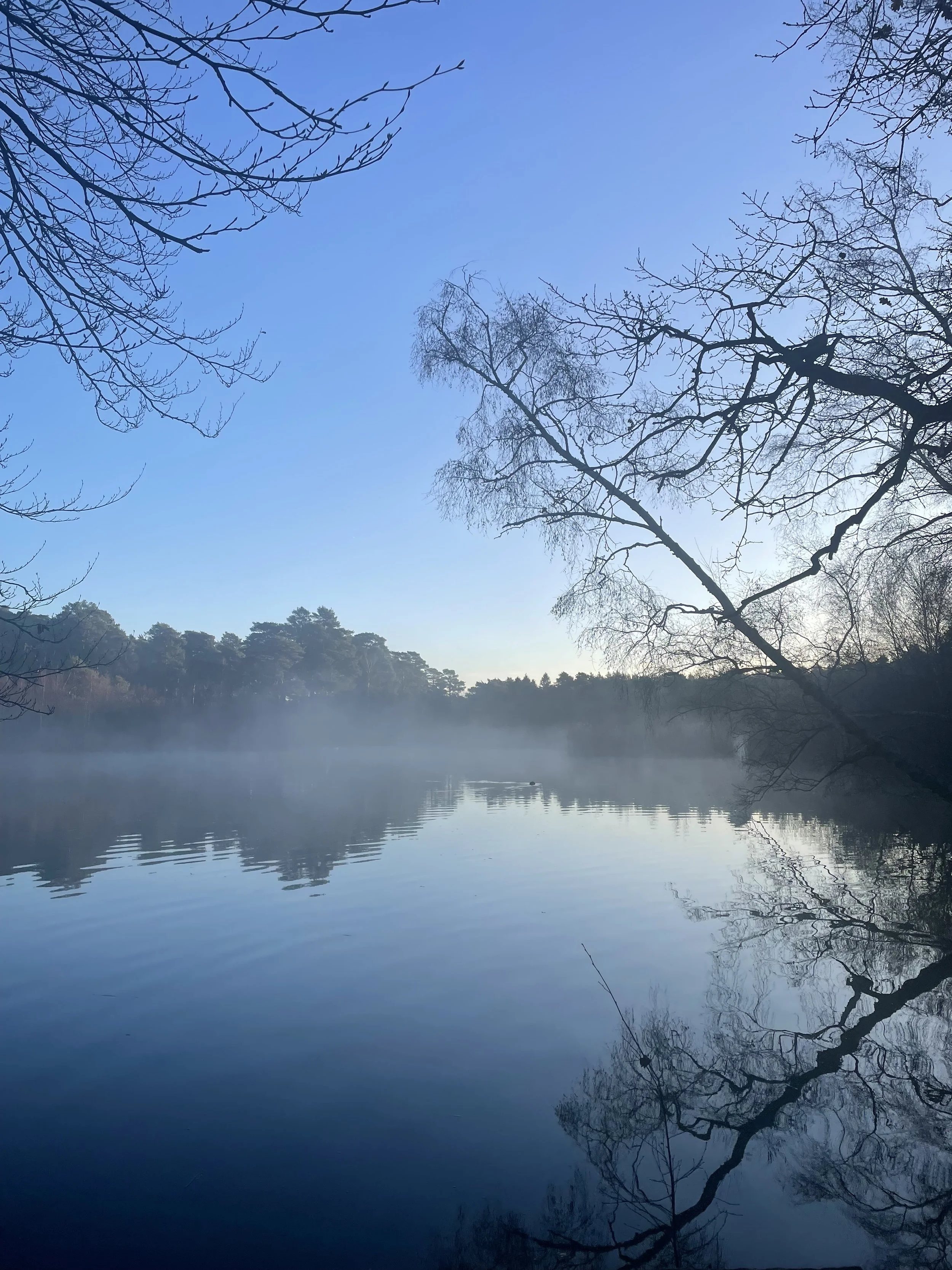A serene lake with still water reflecting the blue sky and surrounding leafless trees, with mist rising from the water in the early morning.