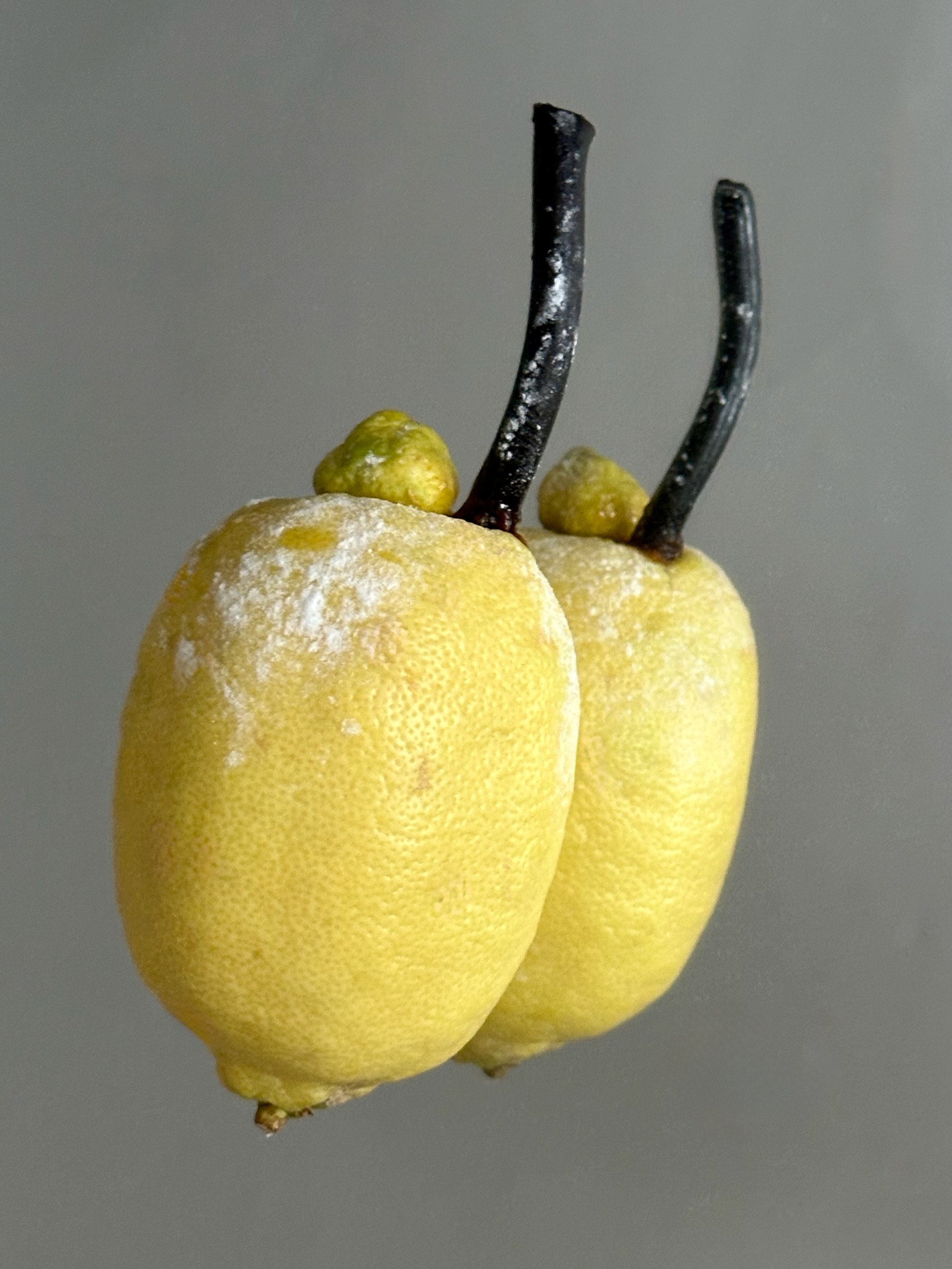 Sherbet Lemons 