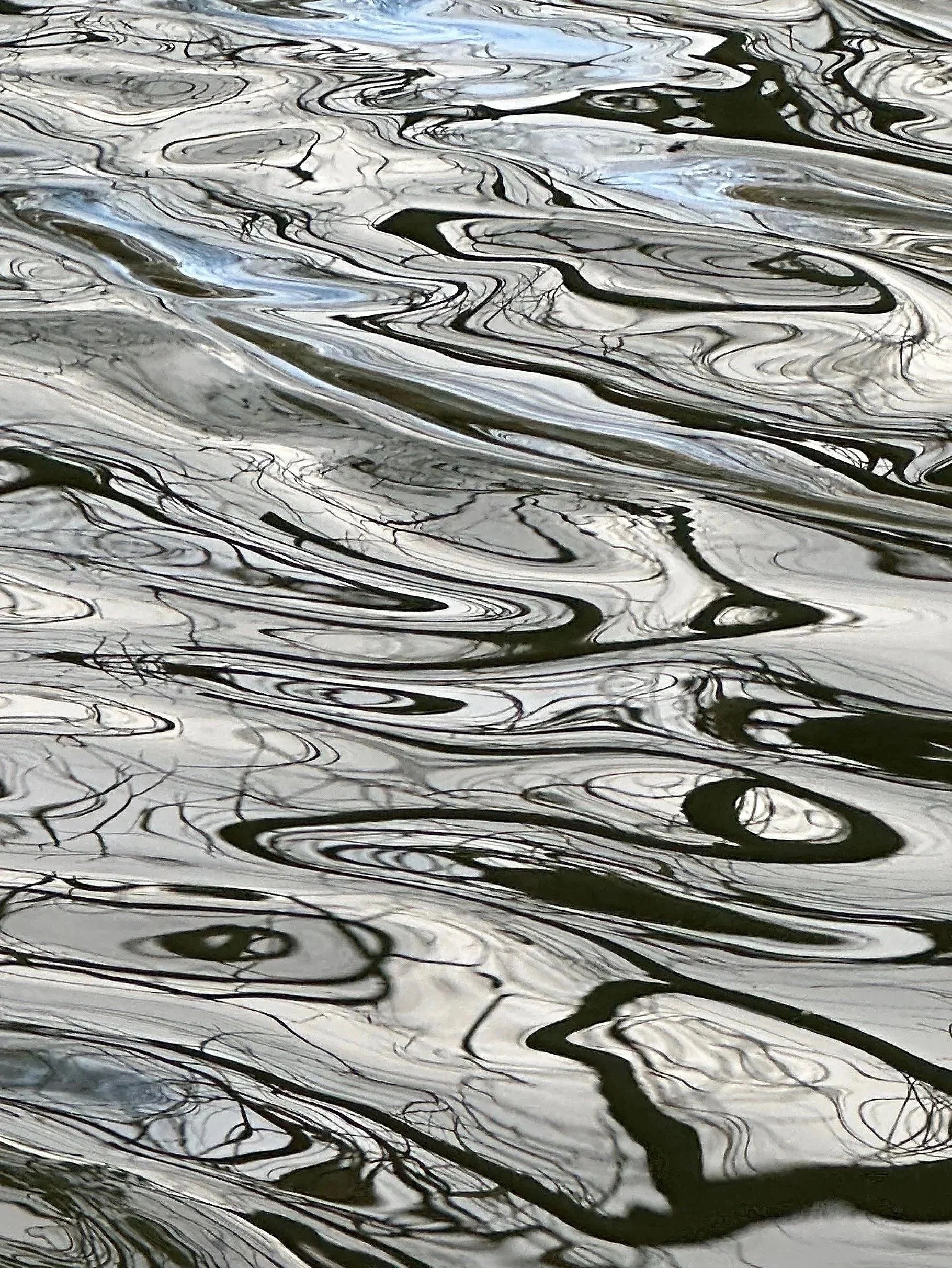 Reflections in Nature ( Life's rich tapestry)