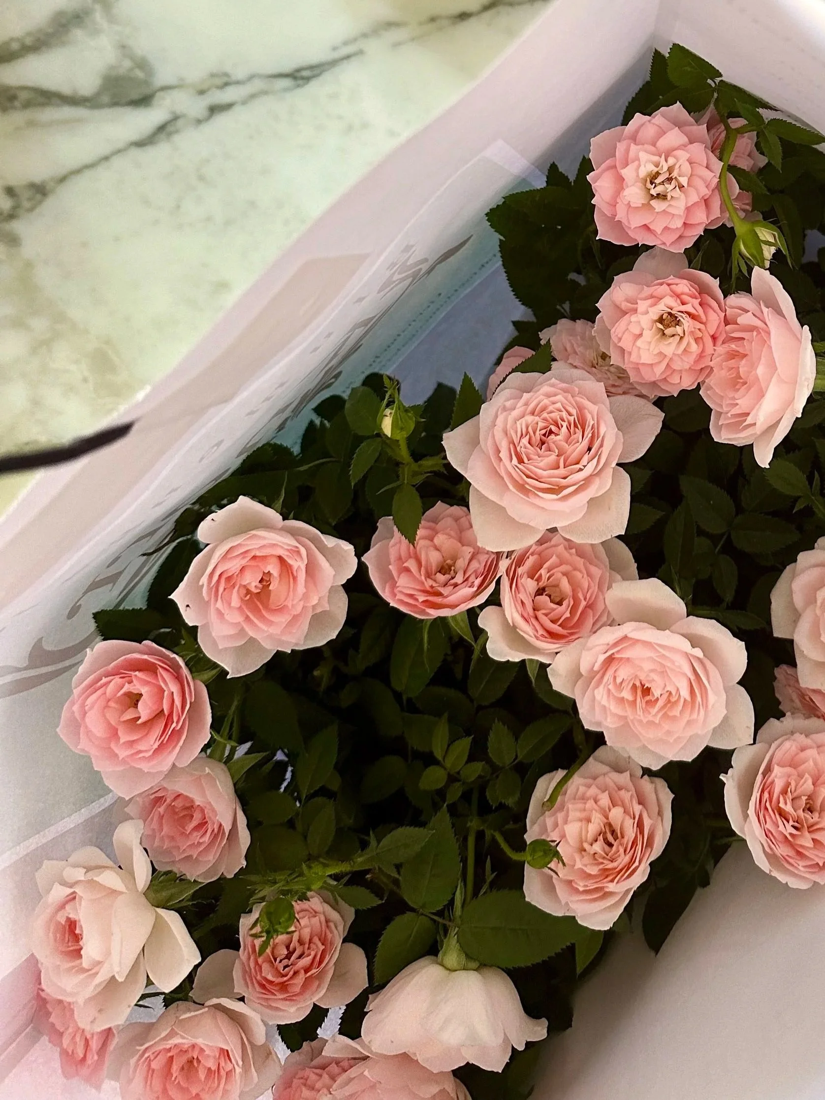Pink roses in a bouquet with green leaves placed near a marble surface.