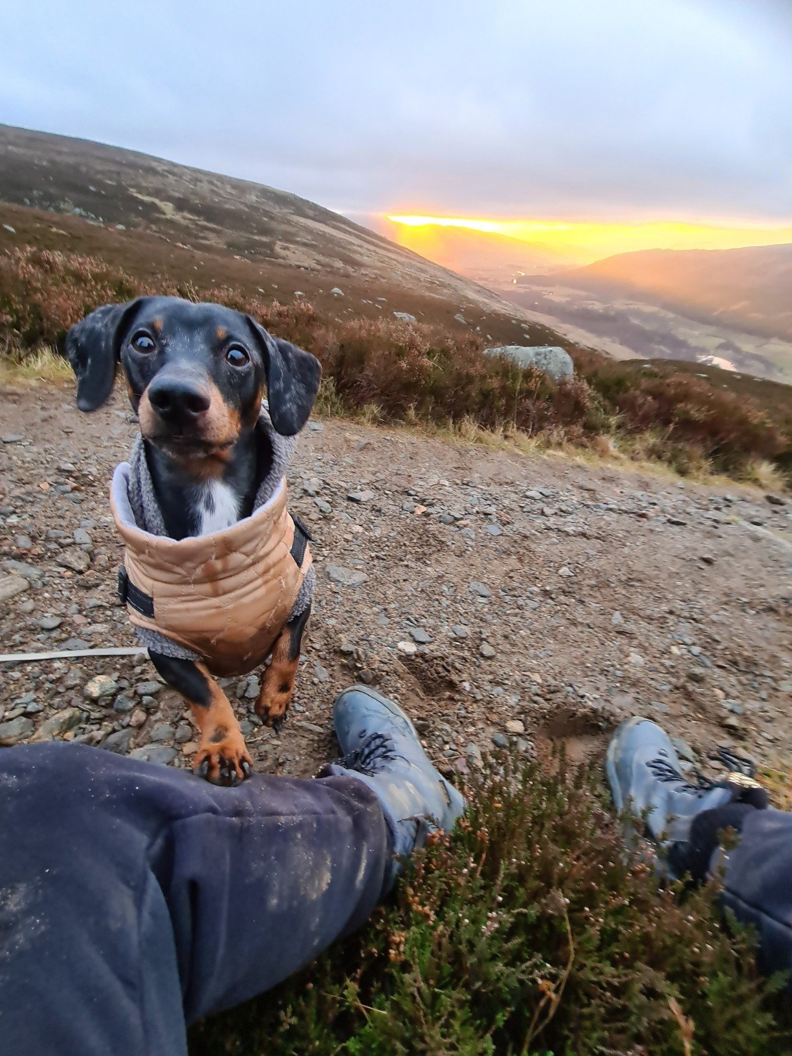 A person sitting on a dirt trail in a mountainous area during sunset, with a small black and tan puppy standing in front of them, looking at the camera, both wearing outdoor clothing.