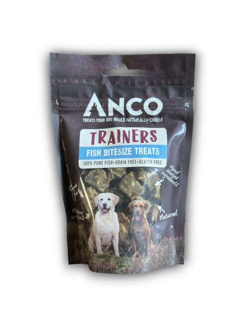 Anco Trainers Fish