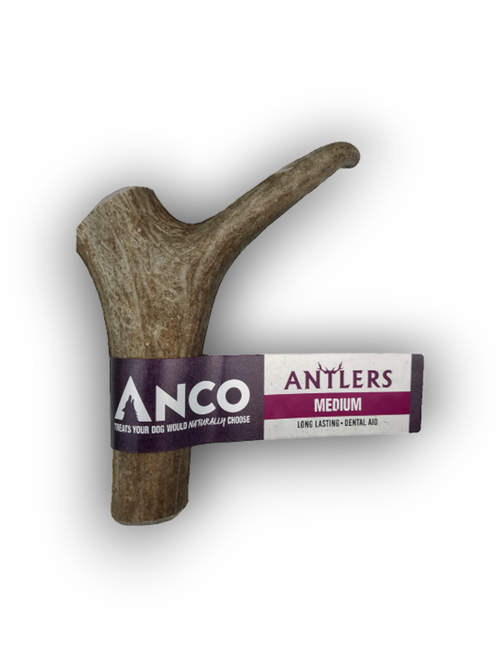 Anco Antlers Medium
