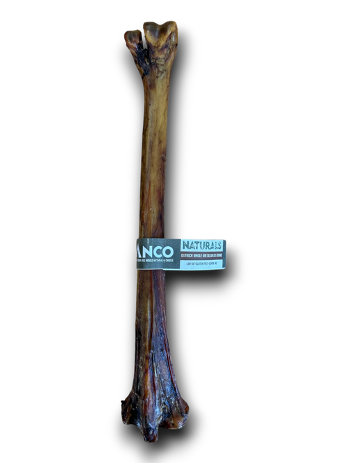 Anco Naturals Ostrich Whole Metatarsus Bone