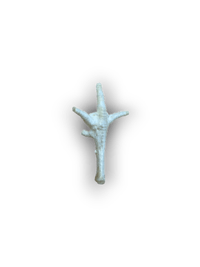 Anco Naturals Puffed Chicken Feet