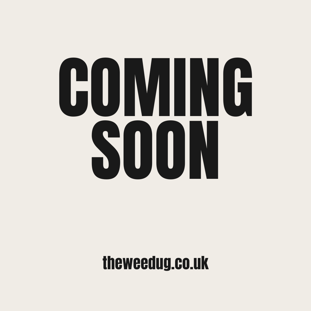 The Poppy Lead & Collar