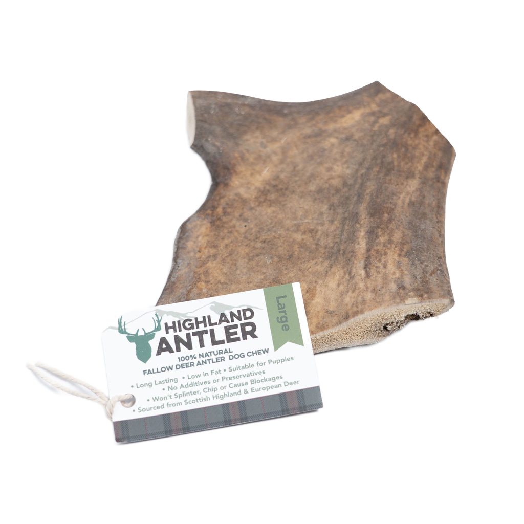 Antler Fallow Large (Min 150g) (2).png