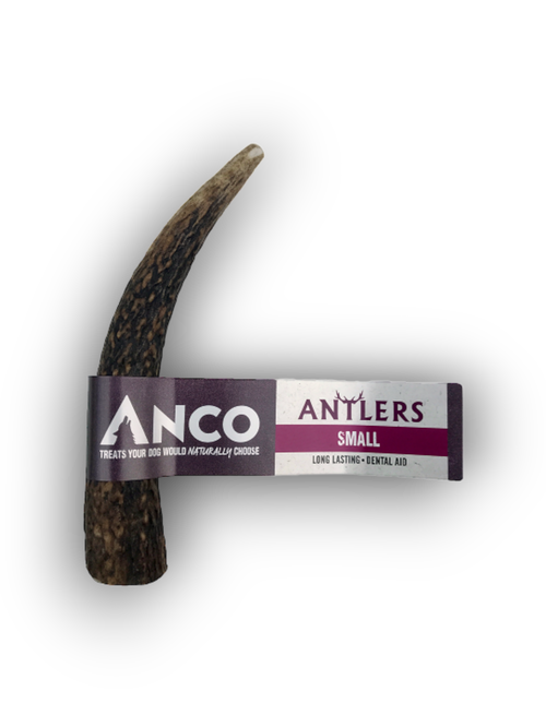 Anco Antlers Small