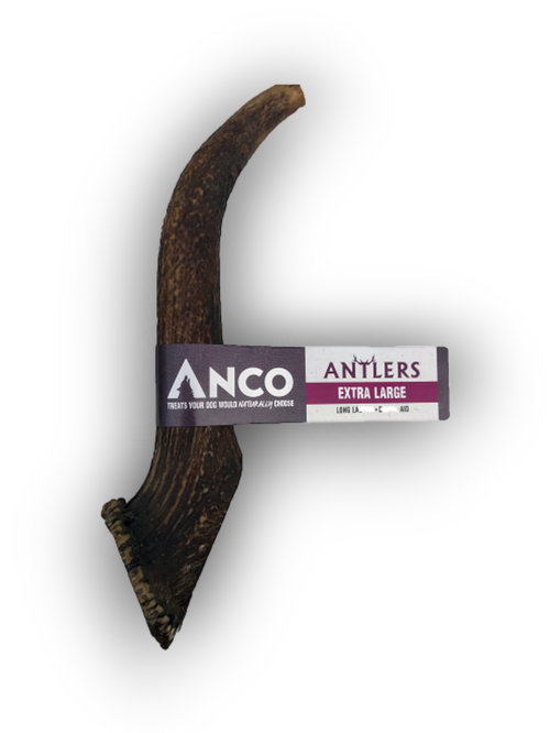 Anco Antlers Extra Large