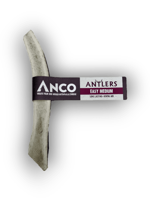 Anco Antlers Easy Medium