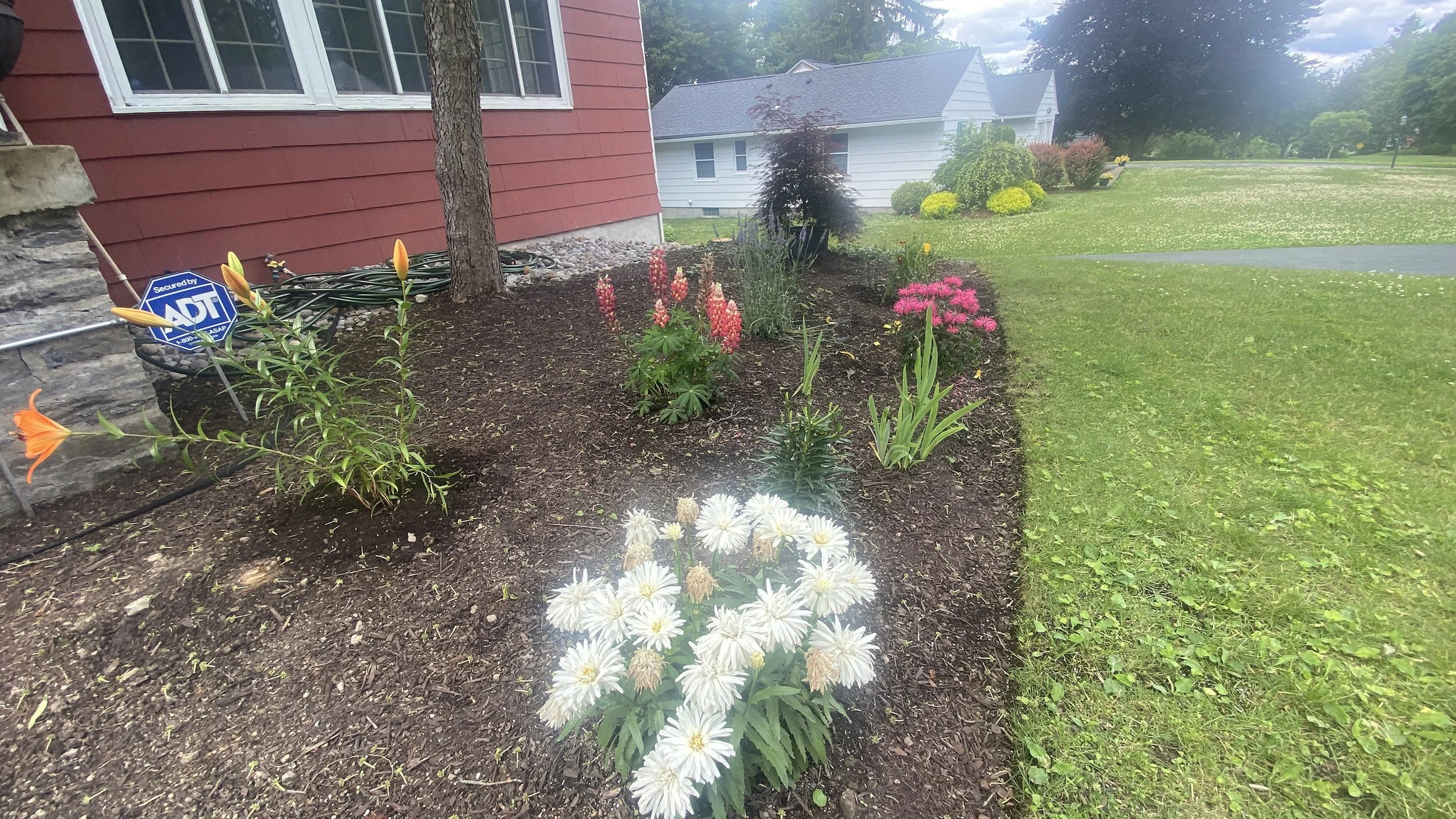 Edging & Trimming 7