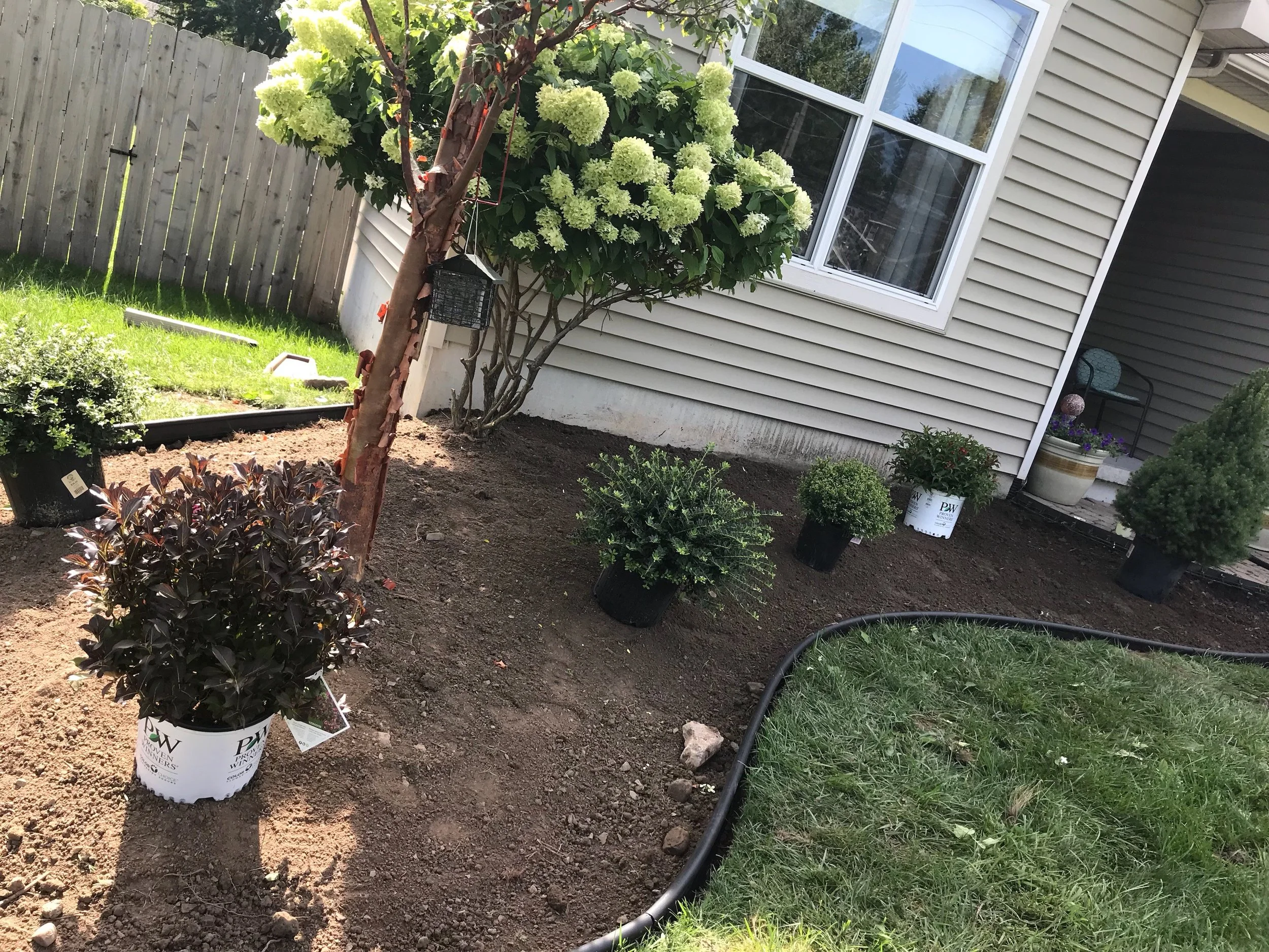 Landscape Design 2 Before