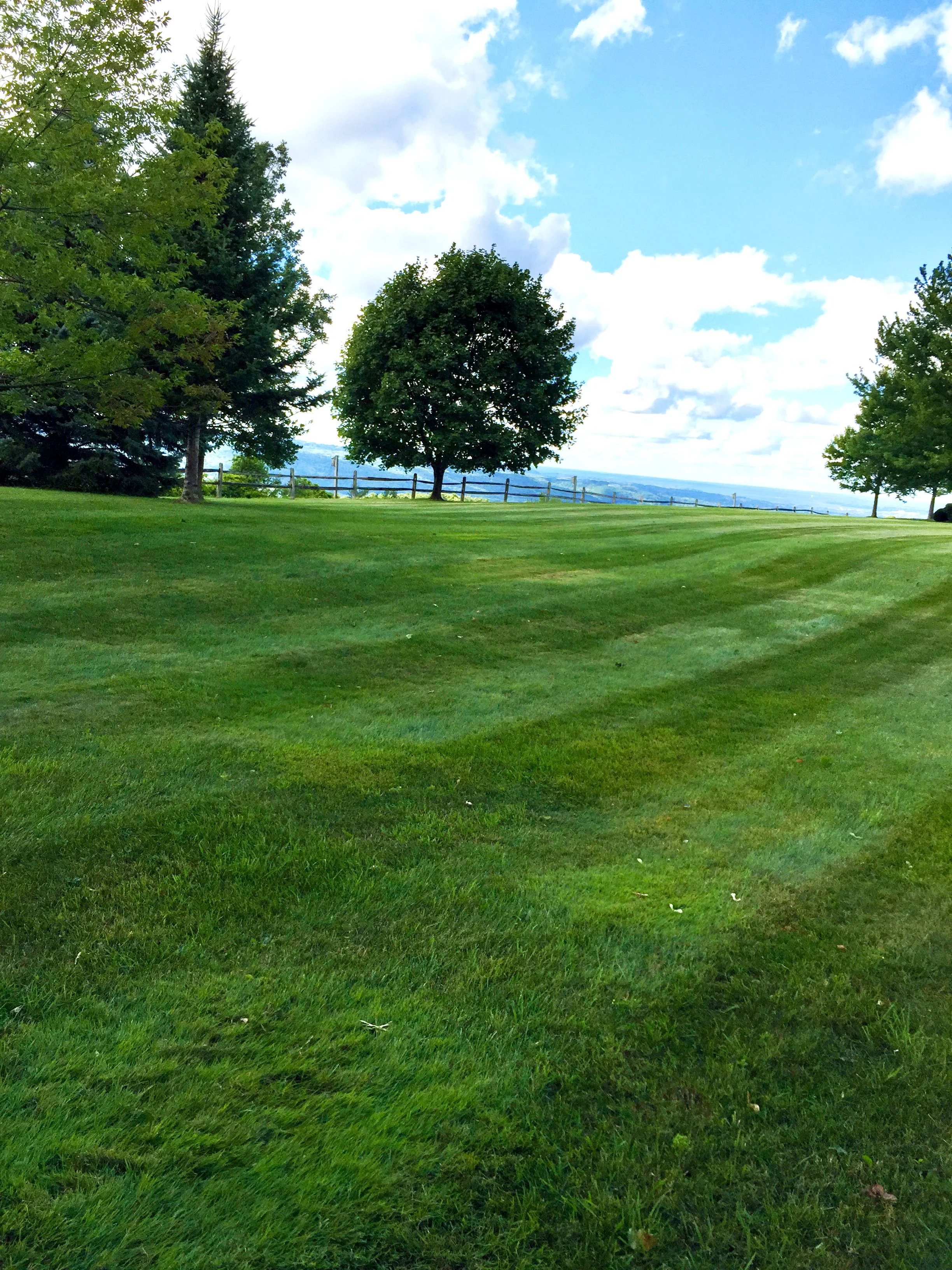 Lawn Mowing Property 2 After