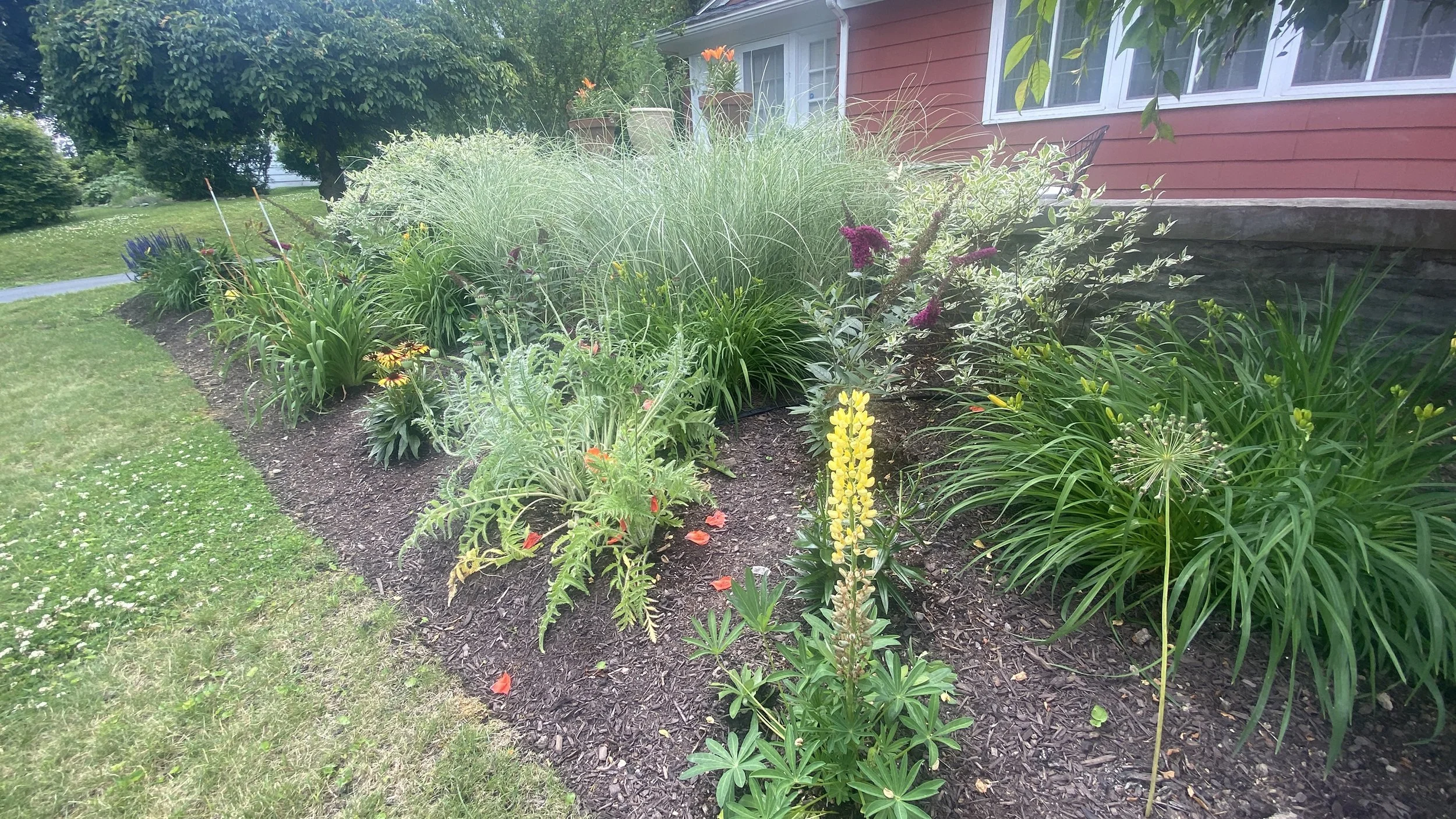 Edging & Trimming 8