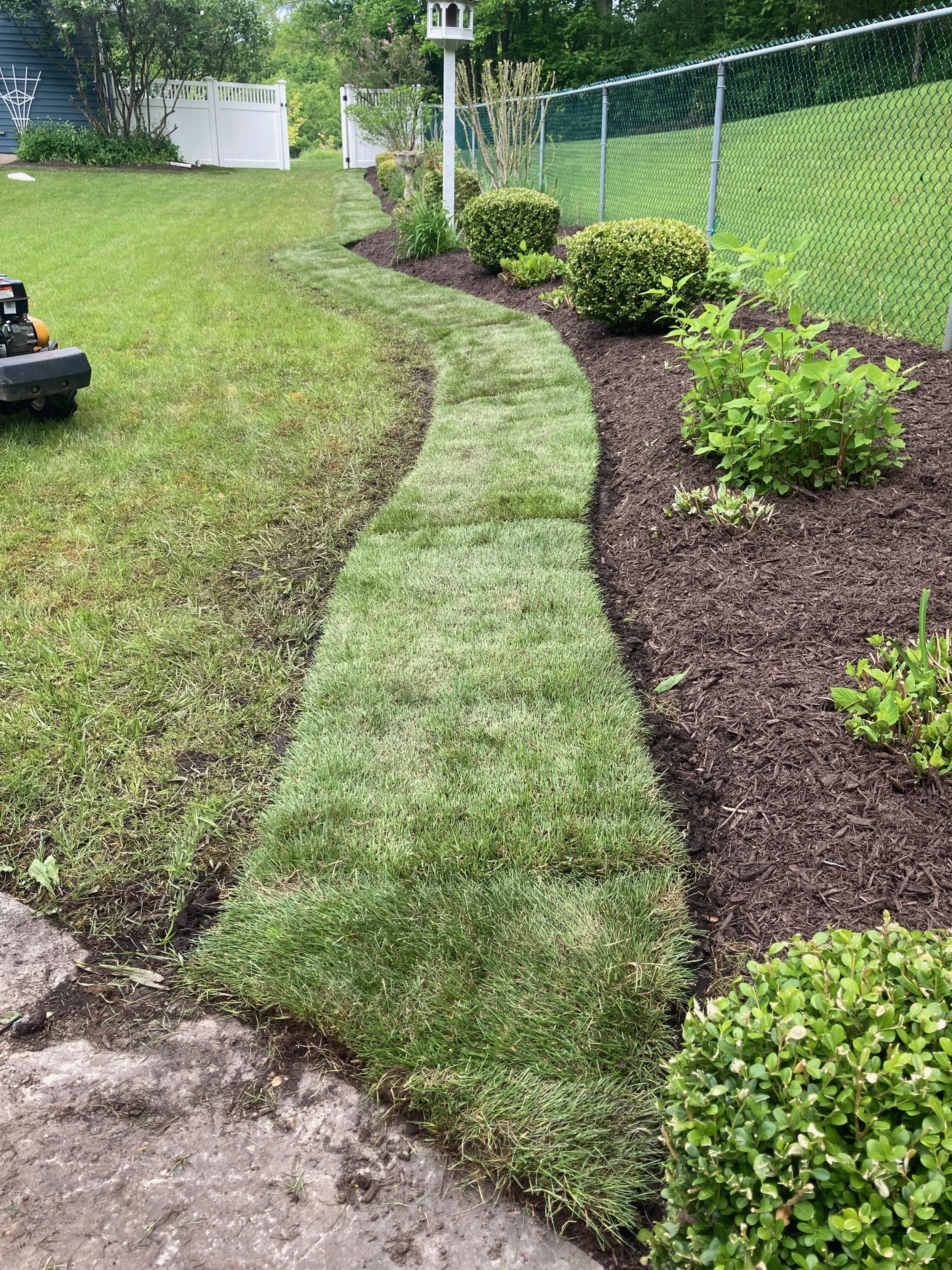 Sod Installation 1 After