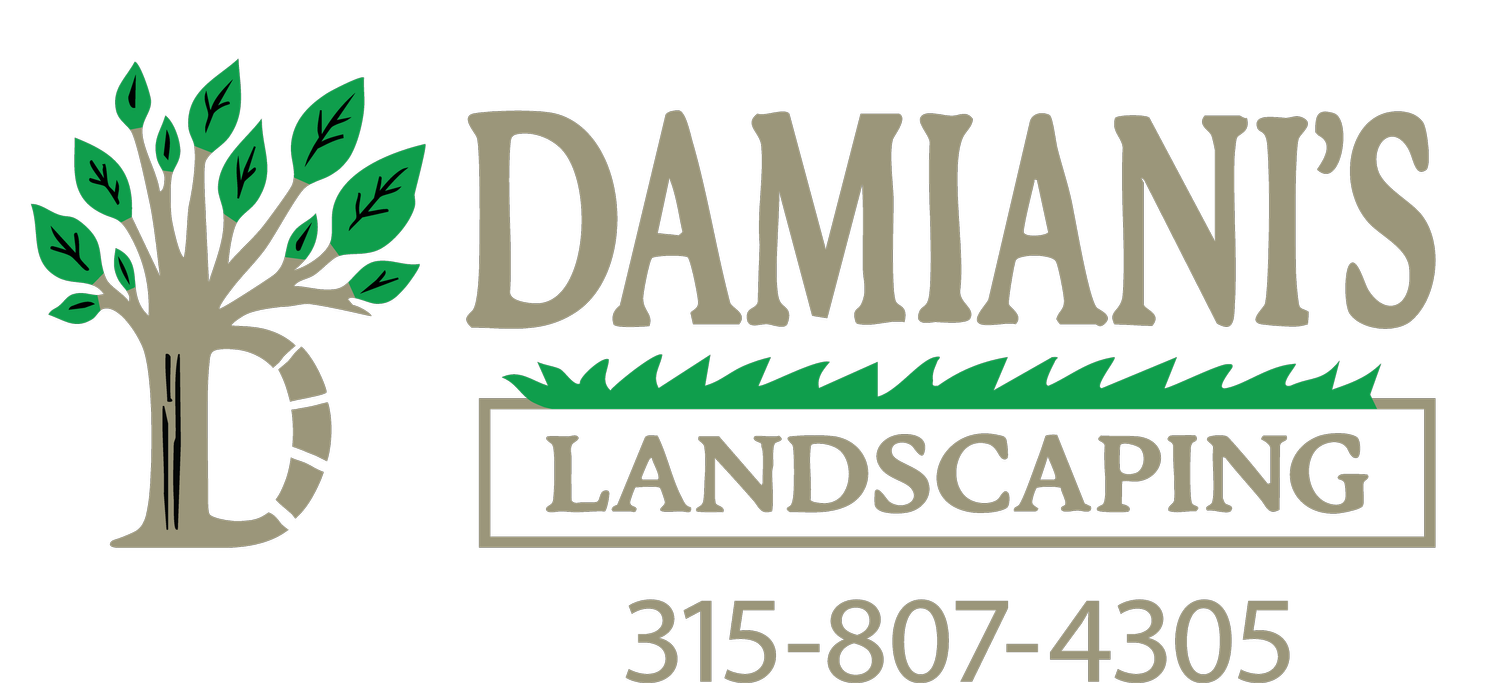 Damianis Landscaping