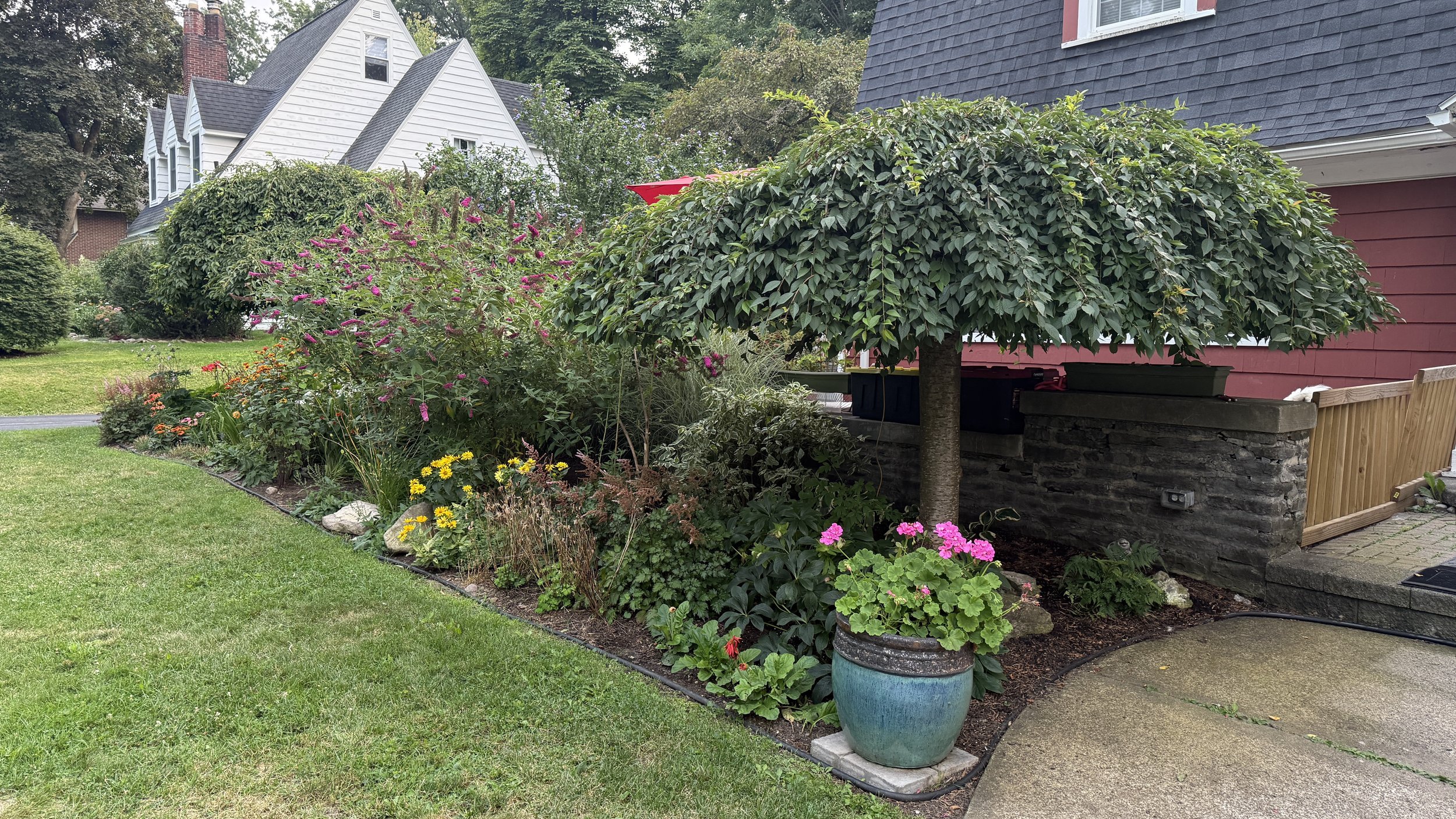 Intermediate Lawn Service