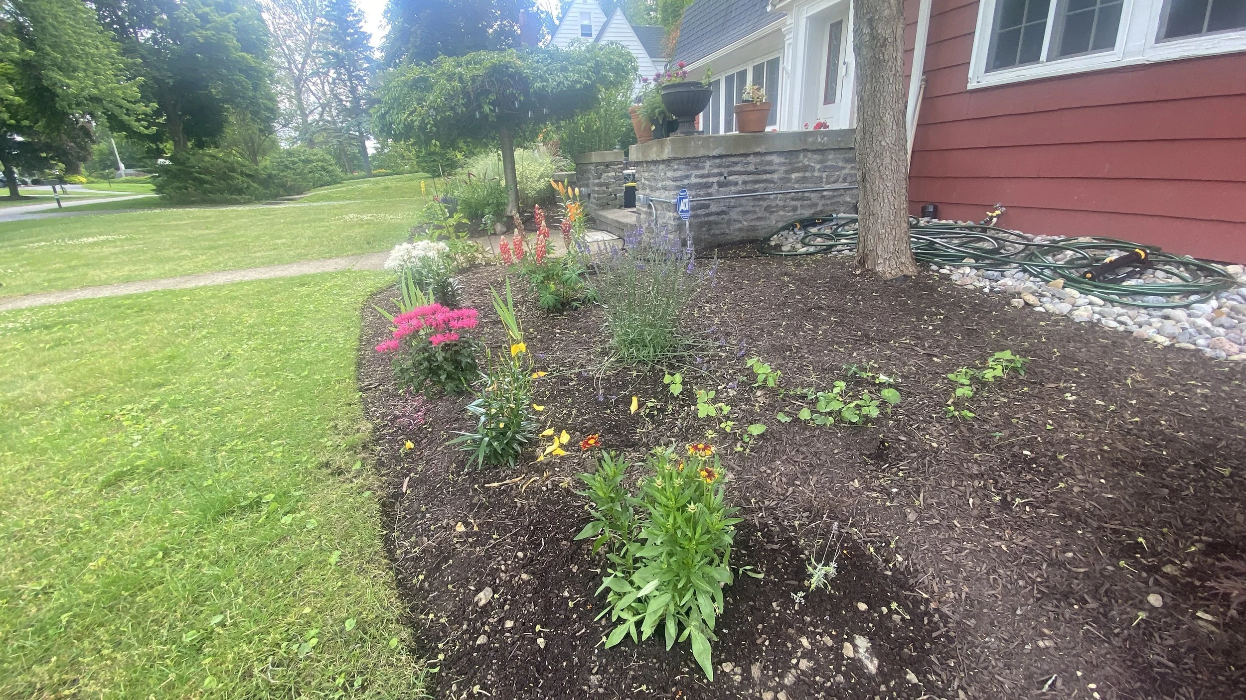 Edging & Trimming 6