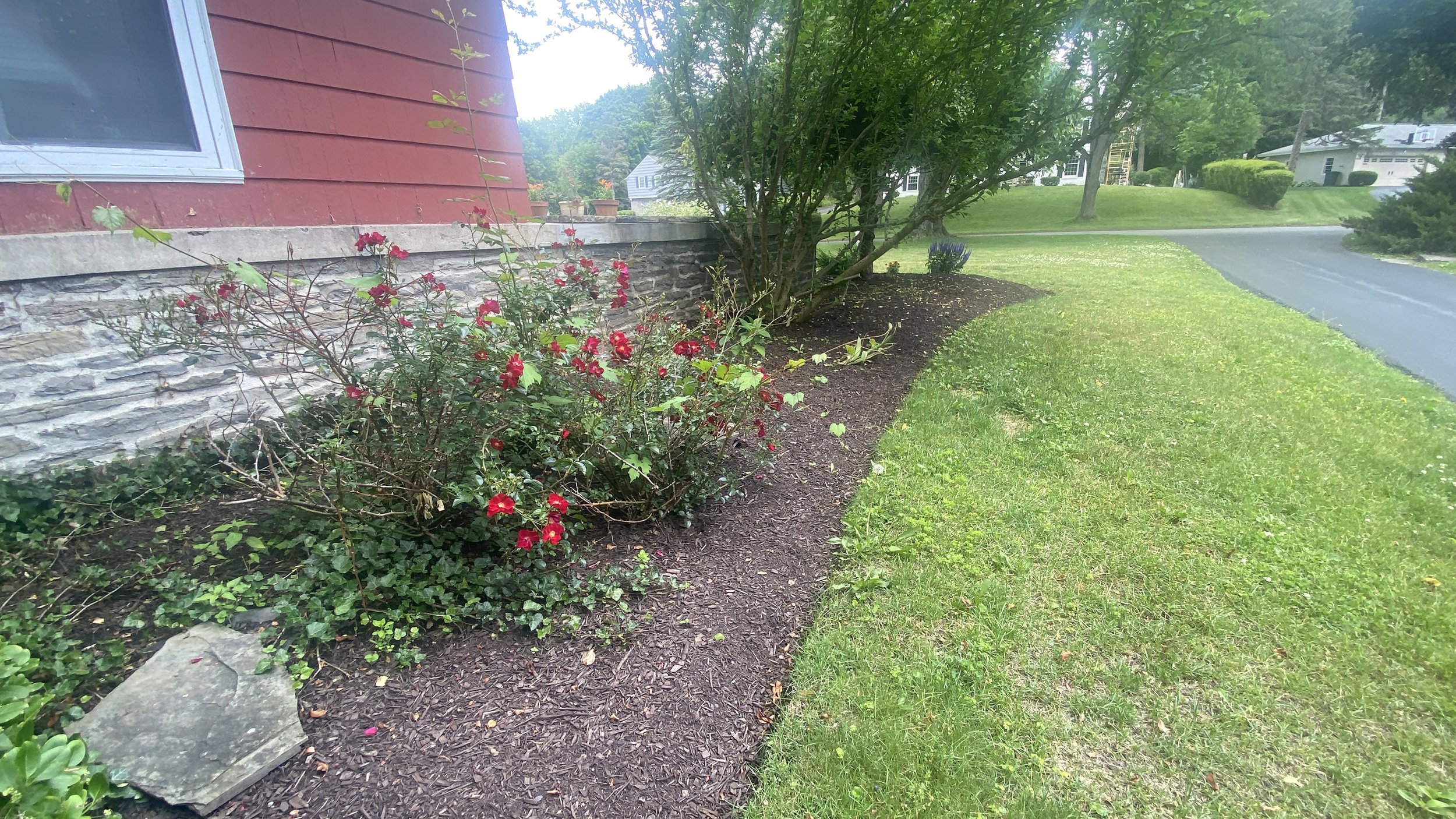 Edging & Trimming 9
