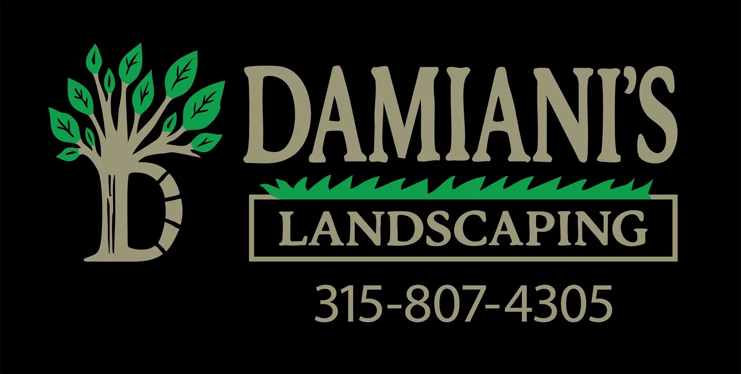Damianis Landscaping